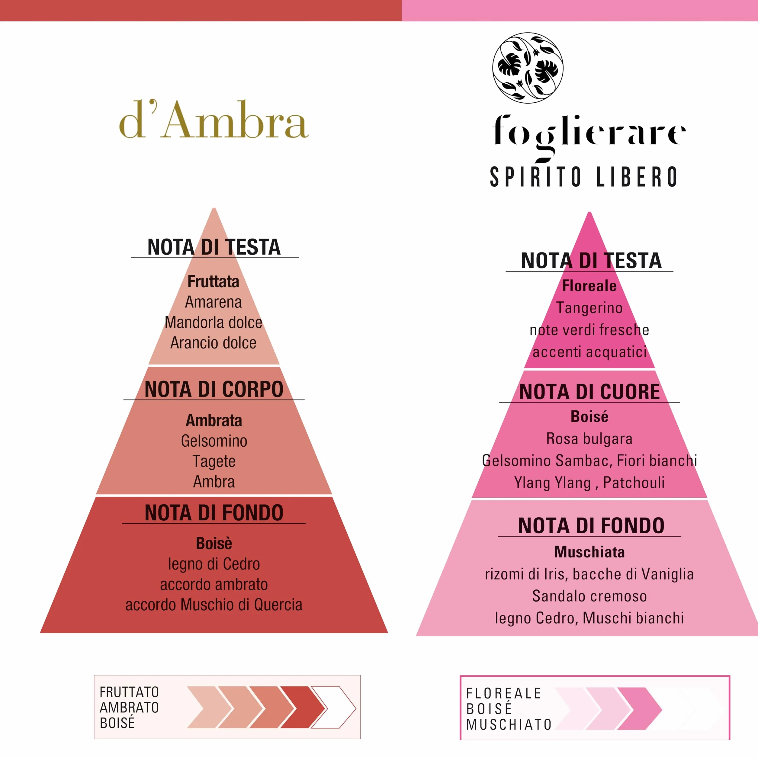Helan - Collezione Olfattiva nr.2 con 6 Profumi in Fiale da 10 ml, Kit Profumo Uomo e Donna in Fragranze da Scoprire, Set Percorso Olfattivo per Idee Regalo Donna e Uomo Made in Italy
