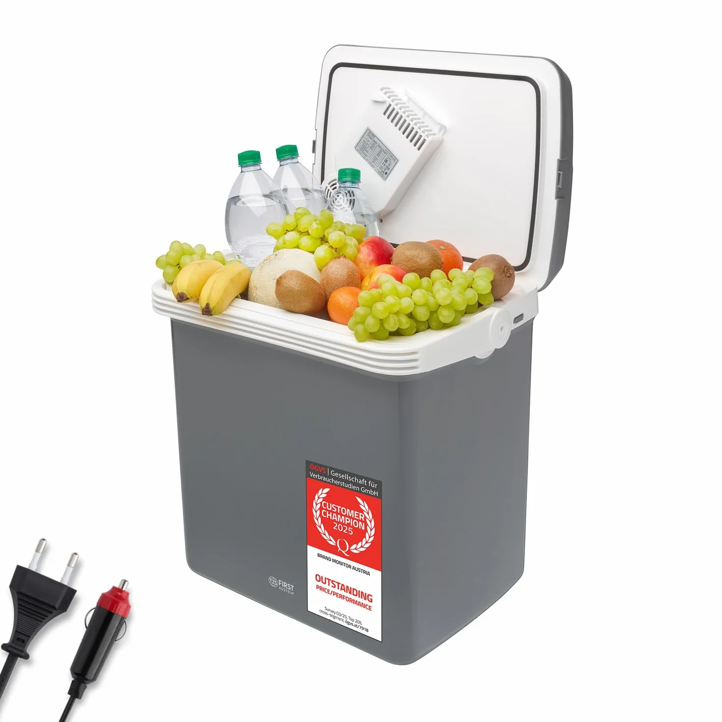TZS First Austria Frigorifero Portatile 32L 12V/230V Raffreddamento Riscaldamento Campeggio Grigio