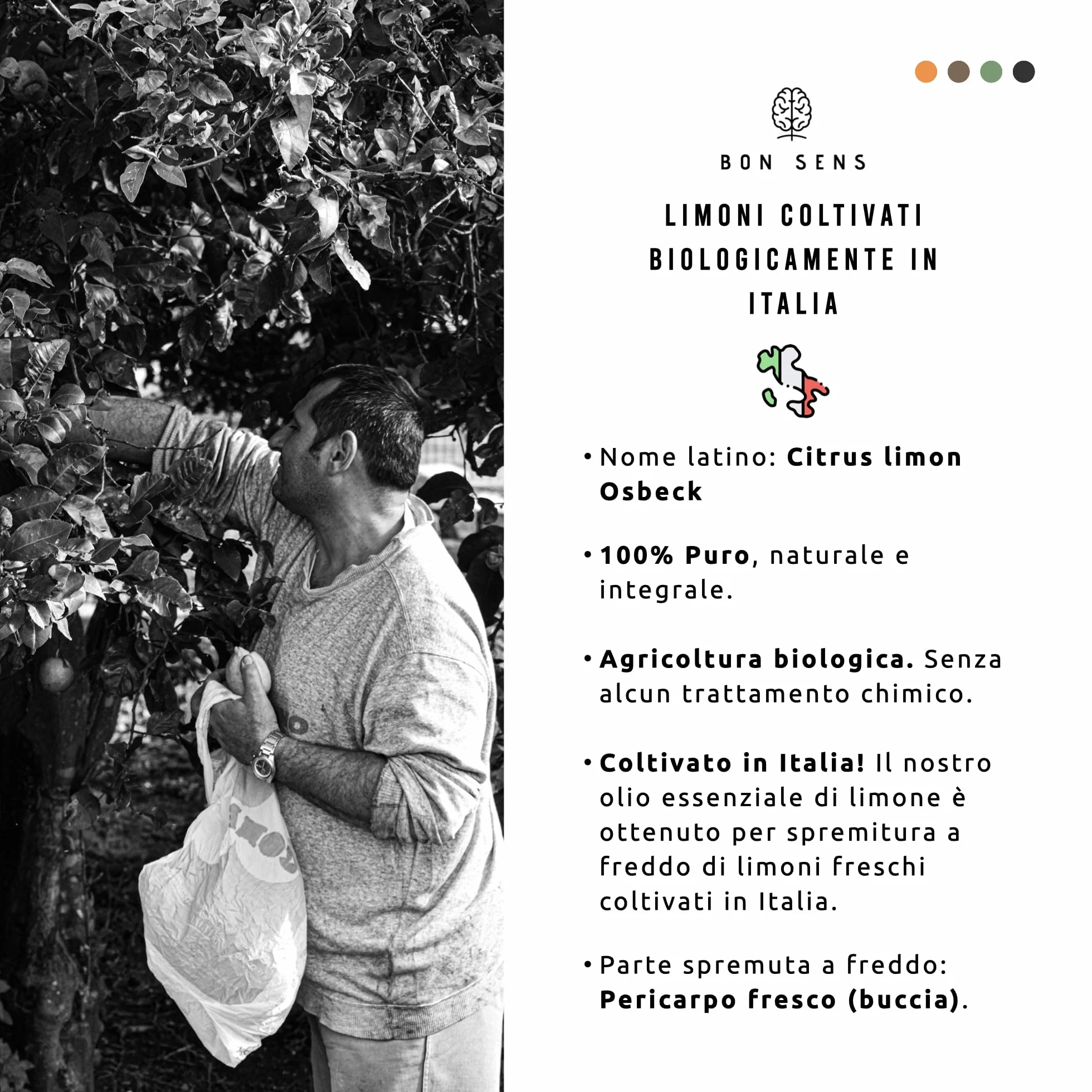 Olio Essenziale di Limone BIO 50ml 100% Puro Naturale Coltivato in Italia Grado Alimentare