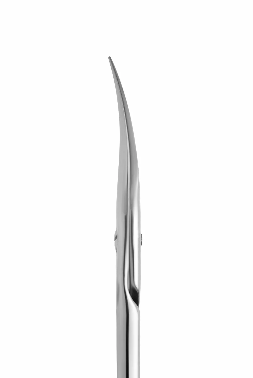 STALEKS PRO Forbici per cuticole Acciaio inossidabile Expert SE-50/2