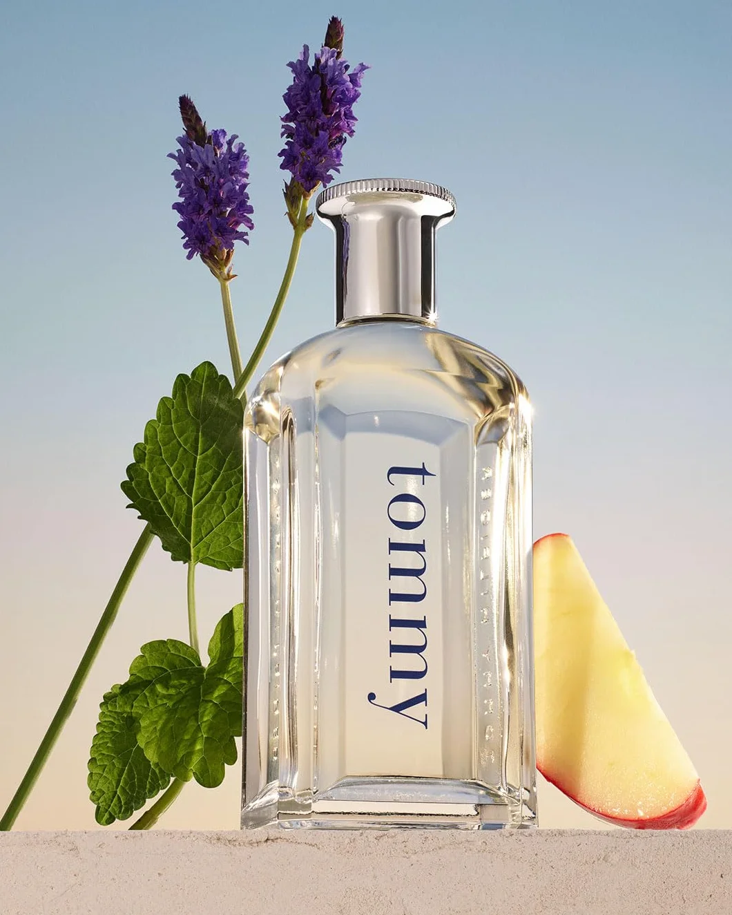 Tommy Hilfiger Eau de Toilette 100 ml Profumo Uomo Fougère Agrumate Fruttate