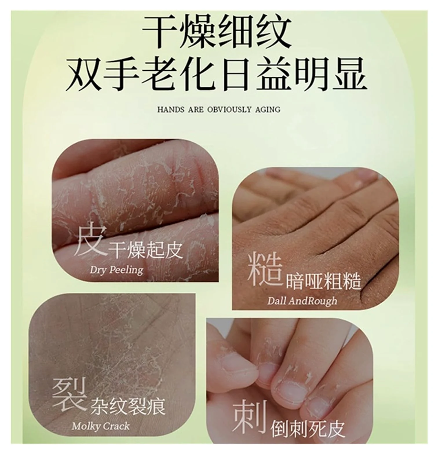 Crema mani profumata da 30 g | Idratare, idratare, ricostituire l'acqua e ammorbidire(3pcs)