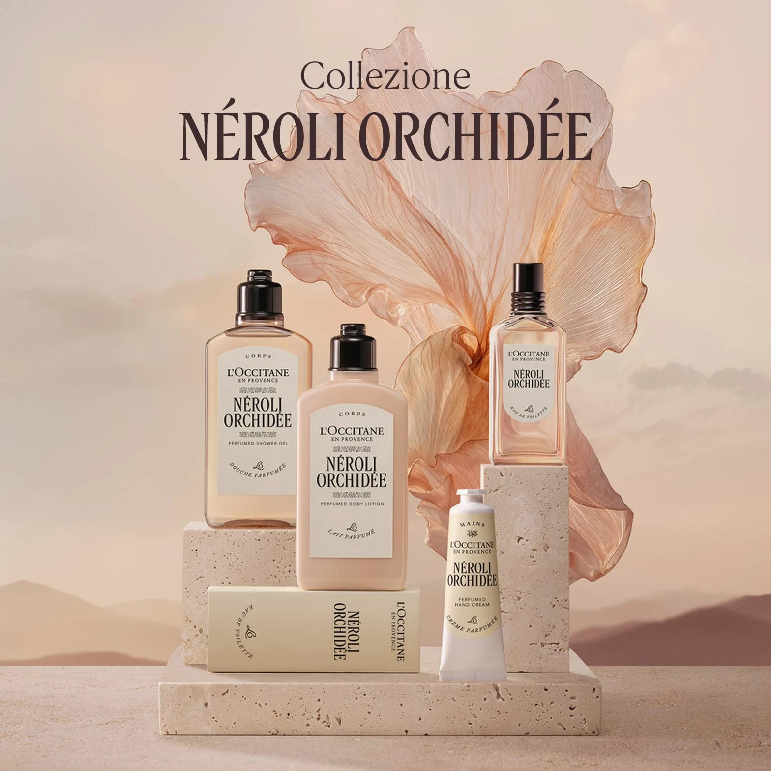 L'OCCITANE - Eau de Toilette Néroli Orchidée (Néroli Orchidea) - 50 ml