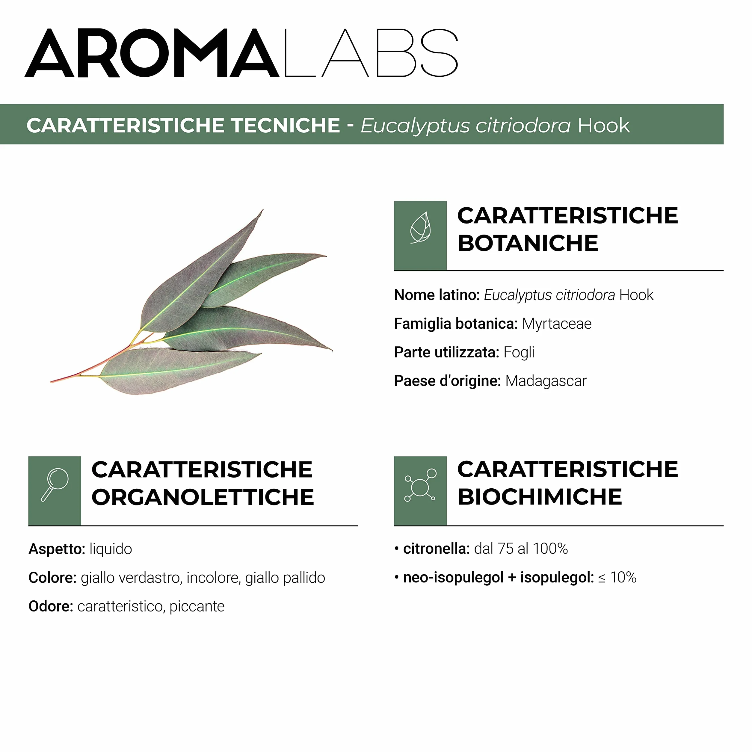 Olio Essenziale Chemiotipizzato Eucalipto Citriodora BIO 30 mL Aroma Labs