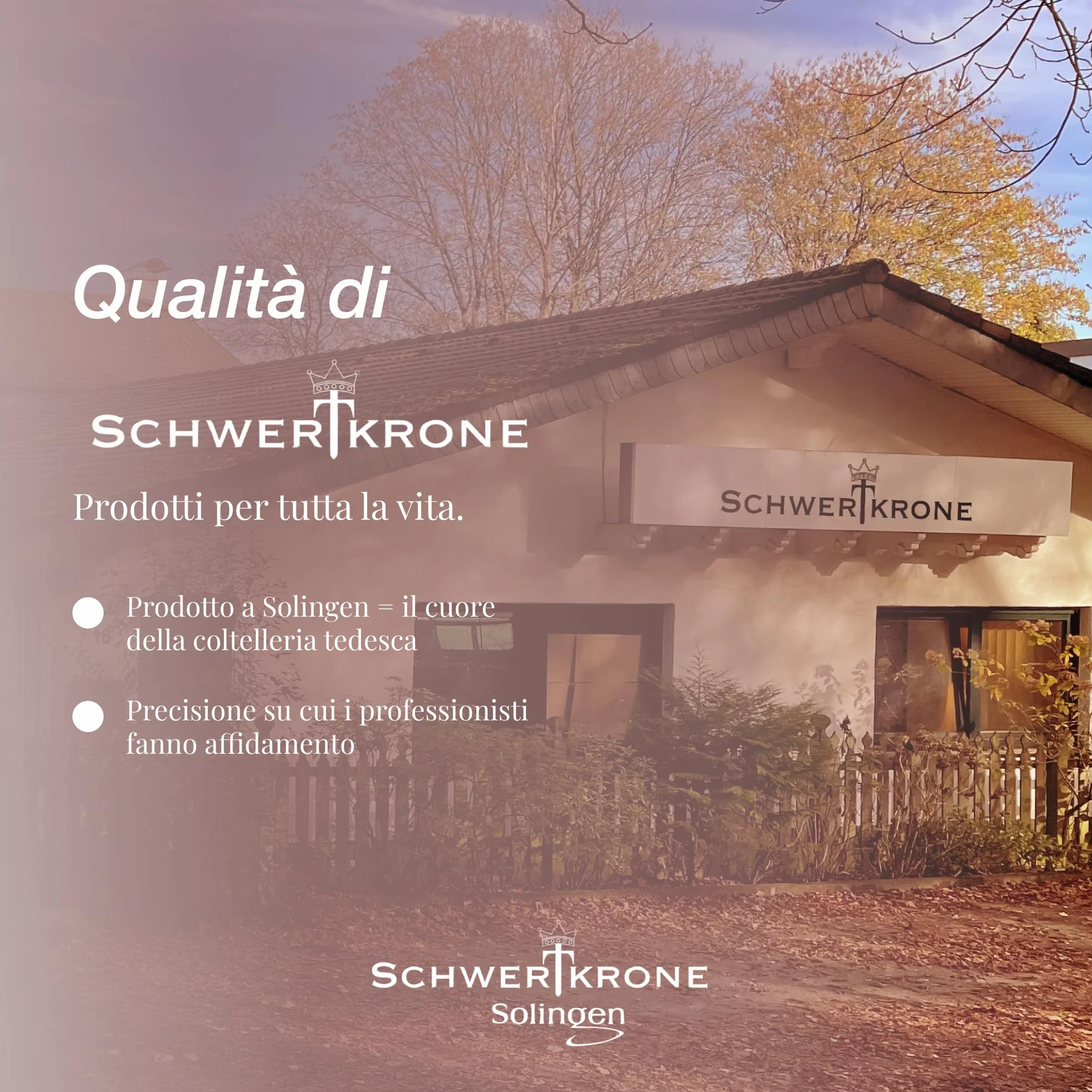 SCHWERTKRONE Set 4 Lime per Unghie in Zaffiro - Solingen, 4 Pezzi Diverse Misure per Manicure e Pedicure
