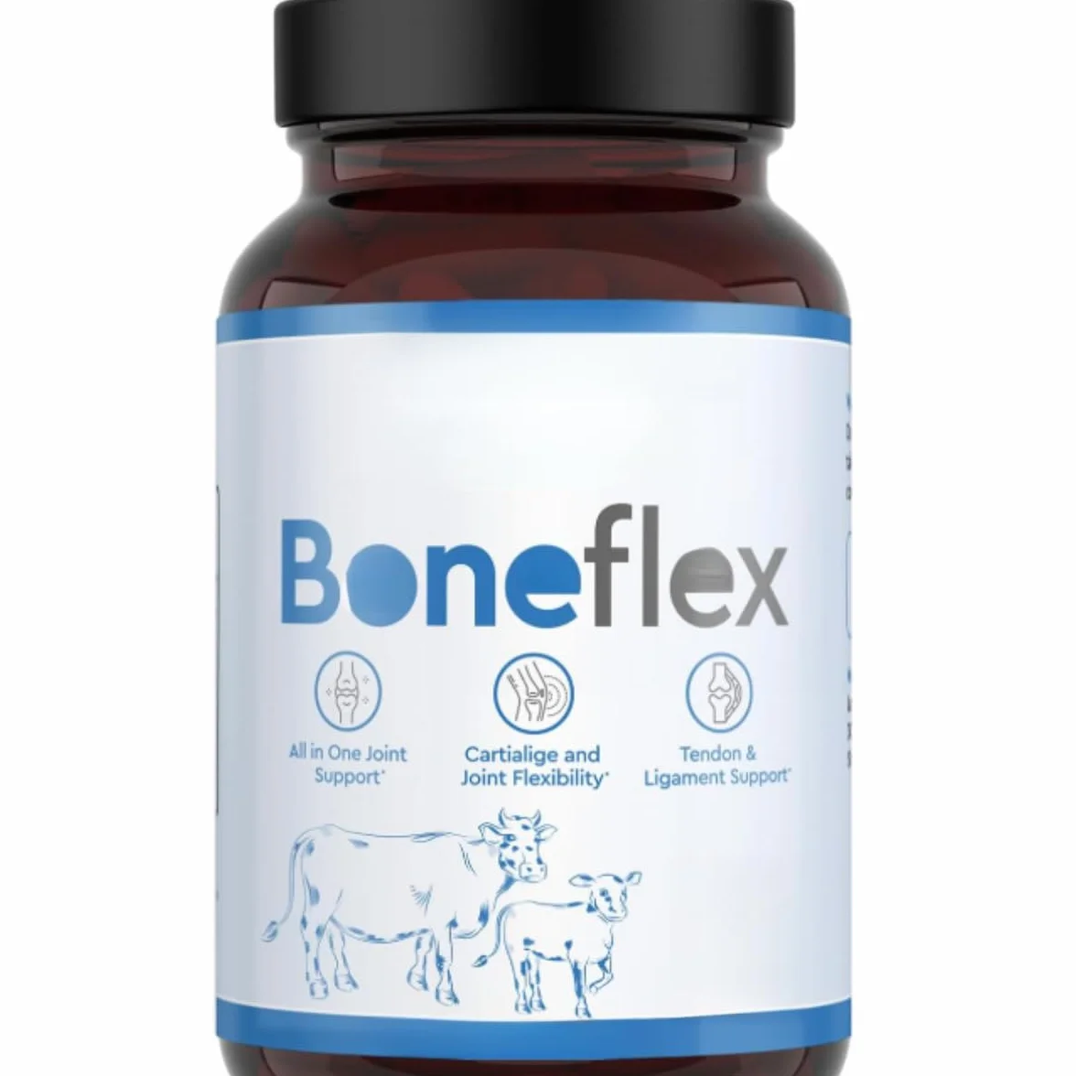 Boneflex: ripara la cartilagine danneggiata, riduce l'attrito articolare e migliora la mobilità e la flessibilità articolare