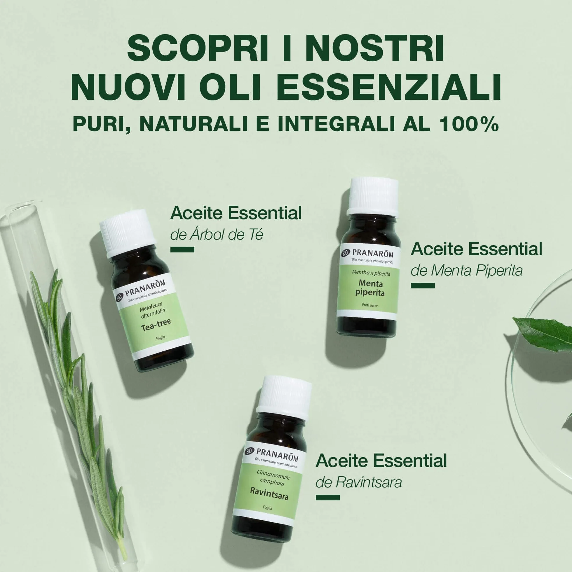 Olio Essenziale di Cipresso della Provenza Bio PRANARÔM 5 ml