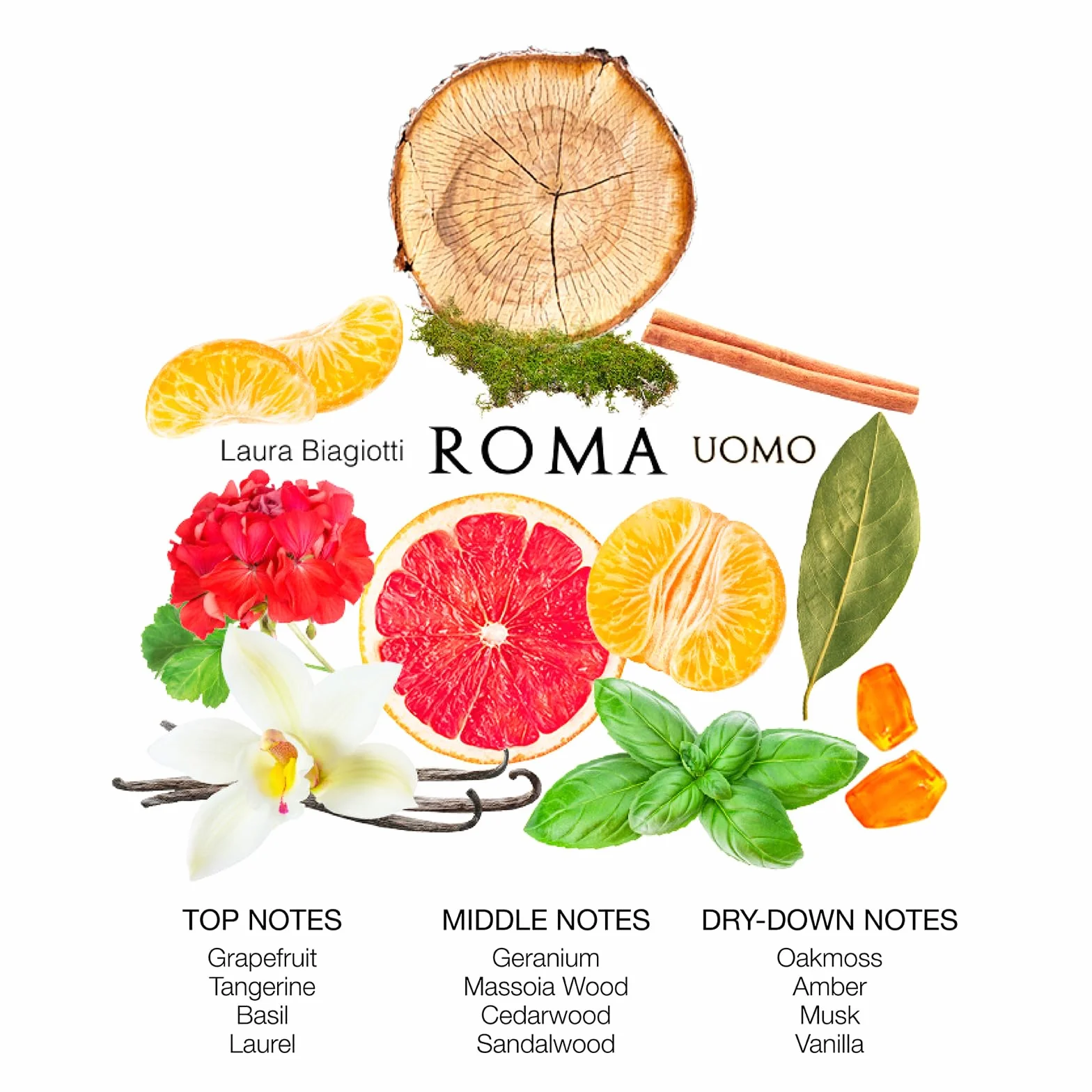 Laura Biagiotti Roma Uomo Edt 125 Ml