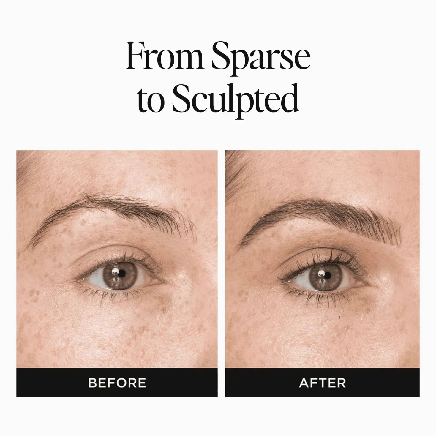 Eyebrowqueen Essential Collection -Eyebrow Kit - Black Brown. (Contains Eyebrow Pencil, Sculpting Gel, Eyebrow Brush, Tweezers, Scissors and Brow Fix Solution).