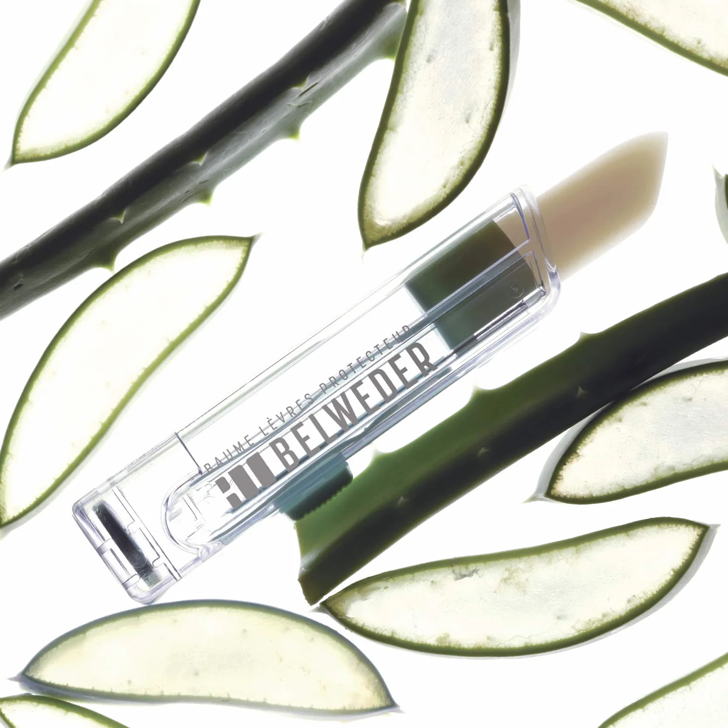 BELWEDER - Balsamo Labbra Protettivo con Aloe Vera, Vitamina E, Olio di Semi di Cotone - Balsamo Labbra Idratante - Protezione e Rigenerazione - Burrocacao Labbra Trasparente - 1 x 3,5 g