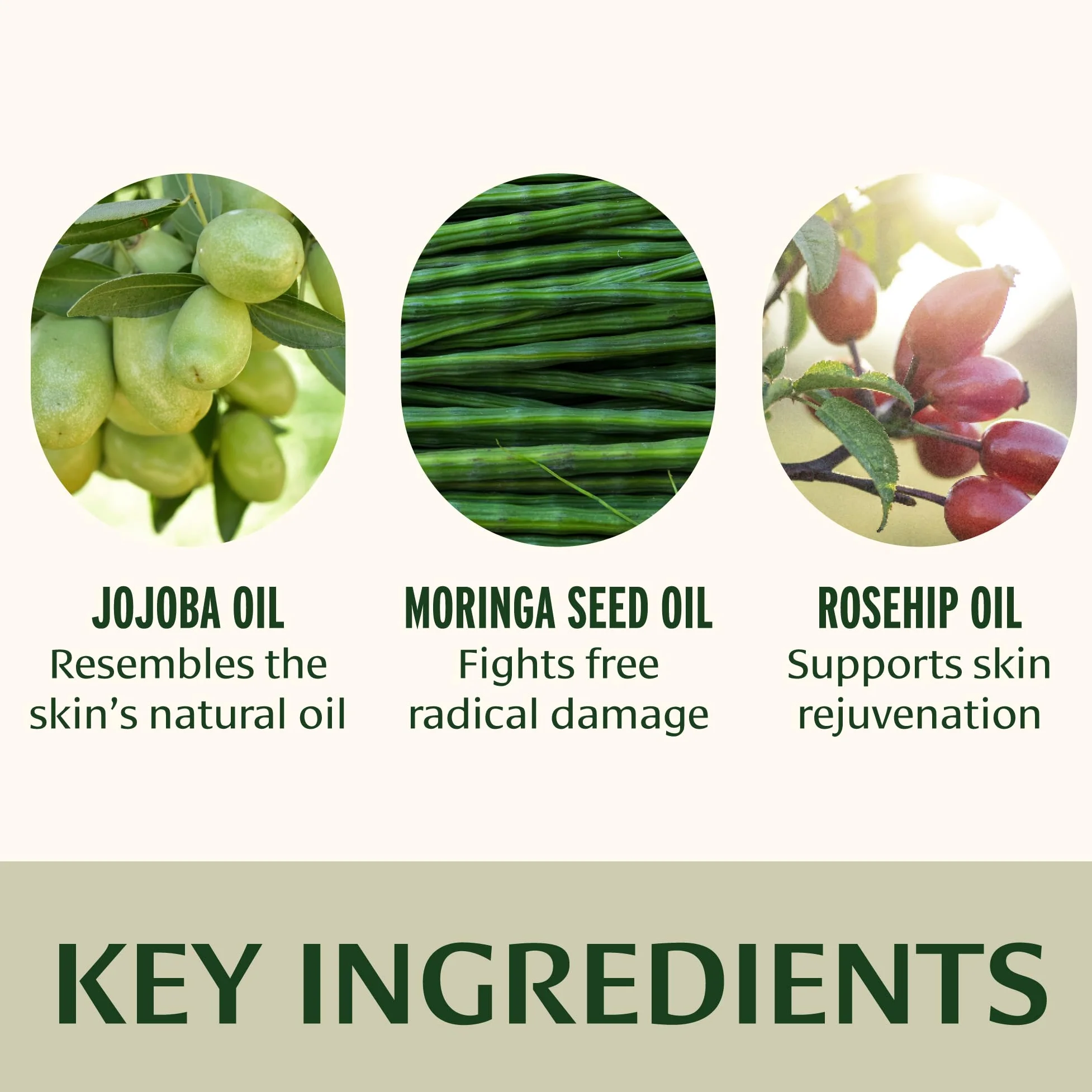 Banyan Botanicals Olio viso – Lussuoso olio viso ayurvedico – Cura della pelle pulita con olio di rosa canina e olio di jojoba per una pelle brillante – 14 g – senza OGM, senza cruelty