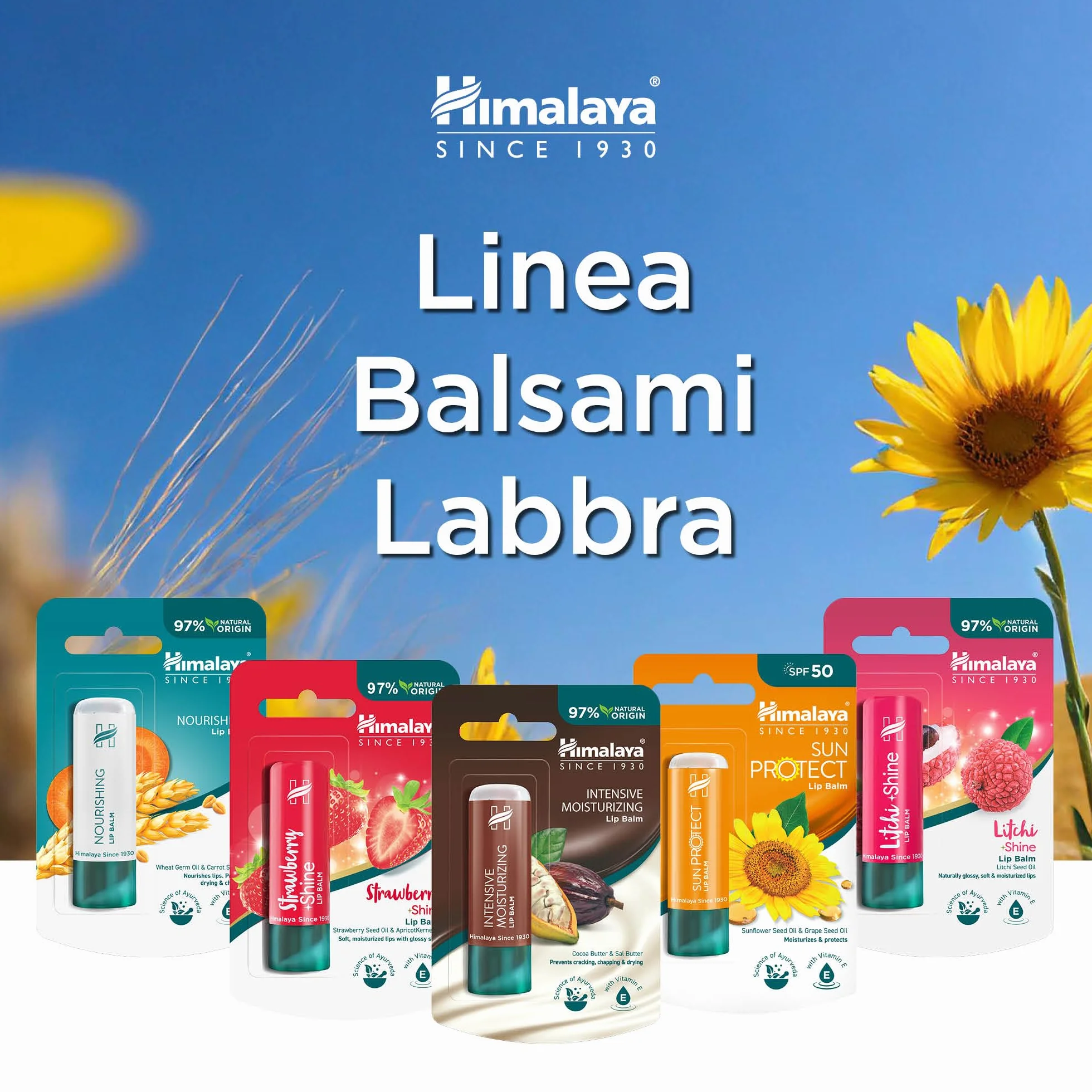 Himalaya Sun Protect Balsamo per Labbra SPF 50 Protezione UVA 4.5g