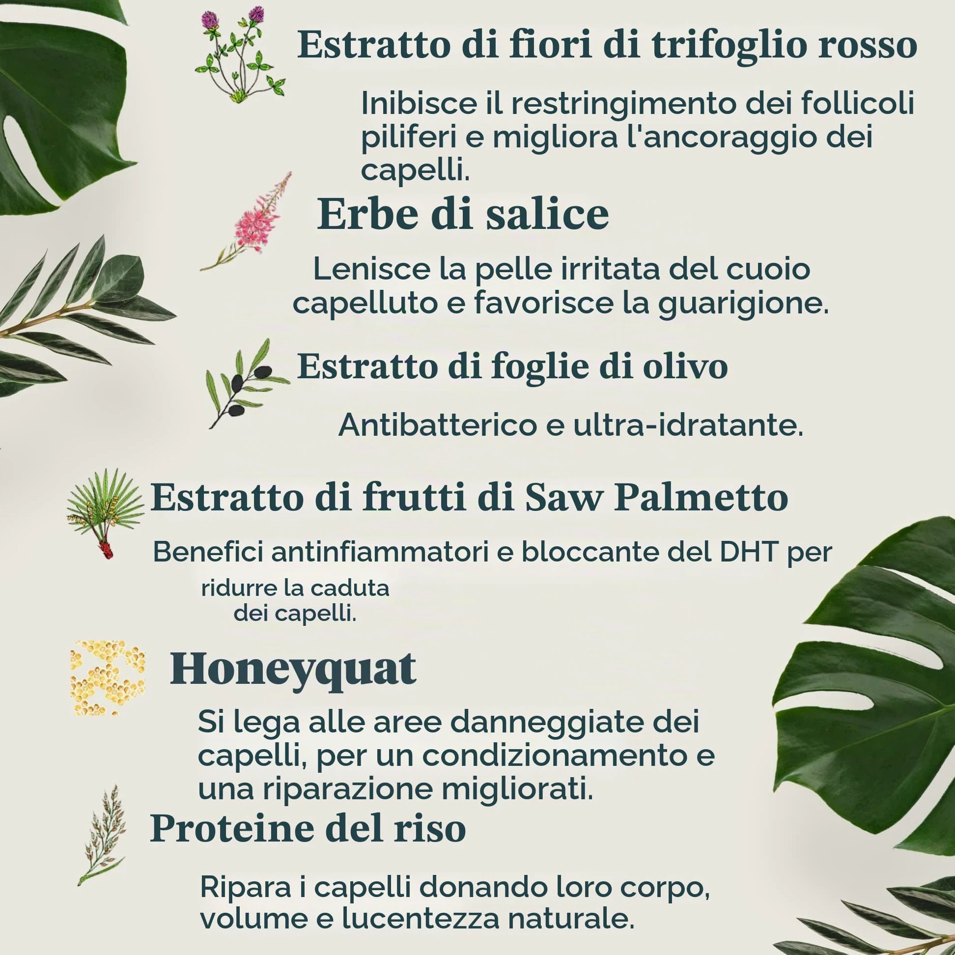 Revive Procare - Shampoo Volumizzante ANTICADUTA Capelli. Stimola La Ricrescita Sana Del Capello, Ripulisce Il Cuoio Capelluto Da Forfora, Residui Ambientali e Tossine - (1 x 300ml)
