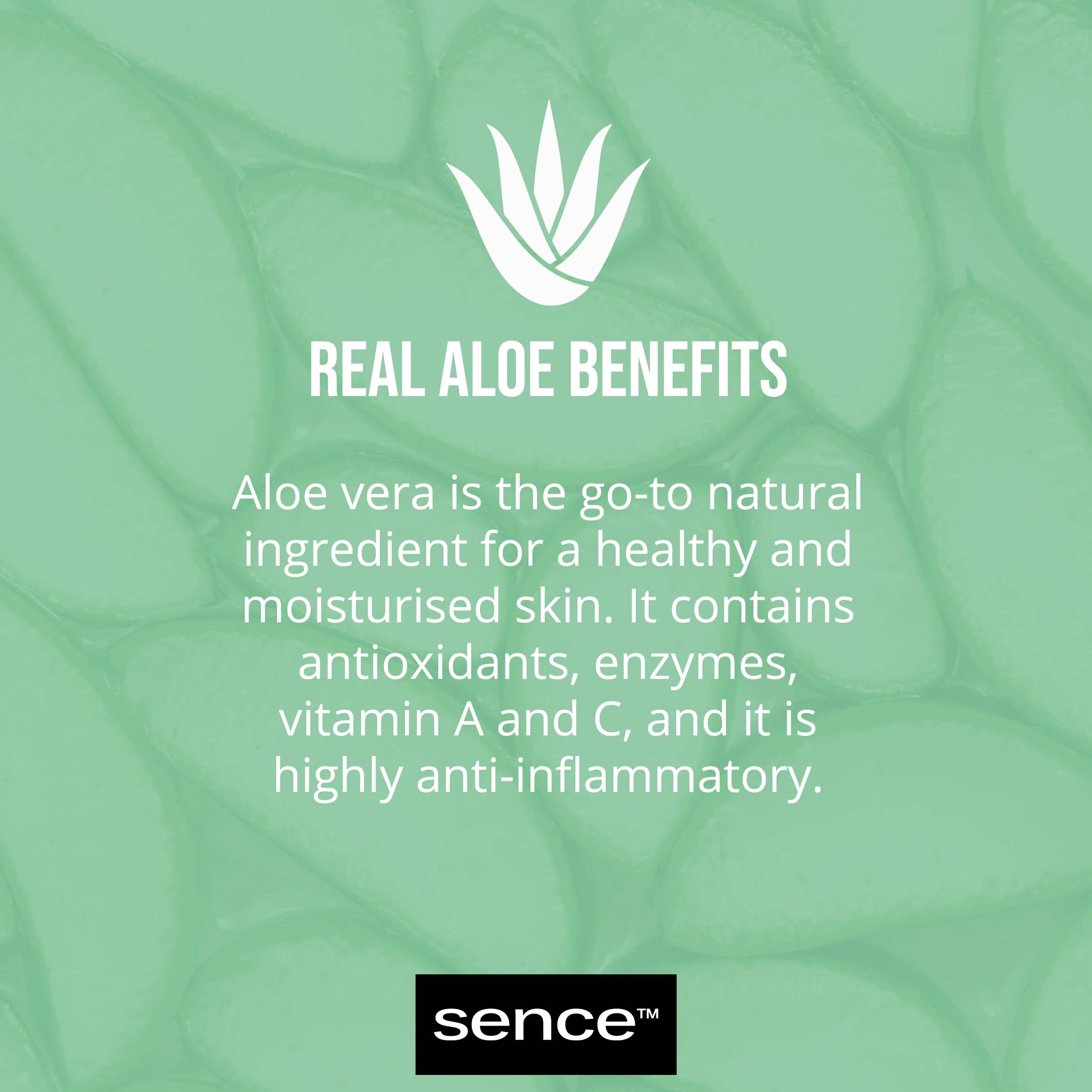 SENCE SCRUB CORPO 500 GR. SEA SALT ALOE VERA VASO