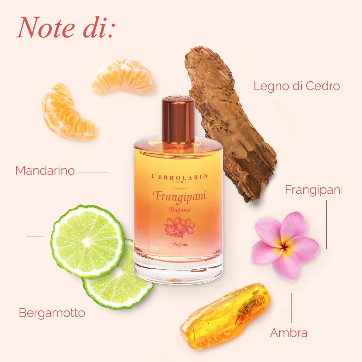 L'Erbolario Frangipani Profumo Donna - Eau de Parfum - Fragranza Femminile Agrumata e Fiorita dalle Note Vivaci e Intense, 100 ml