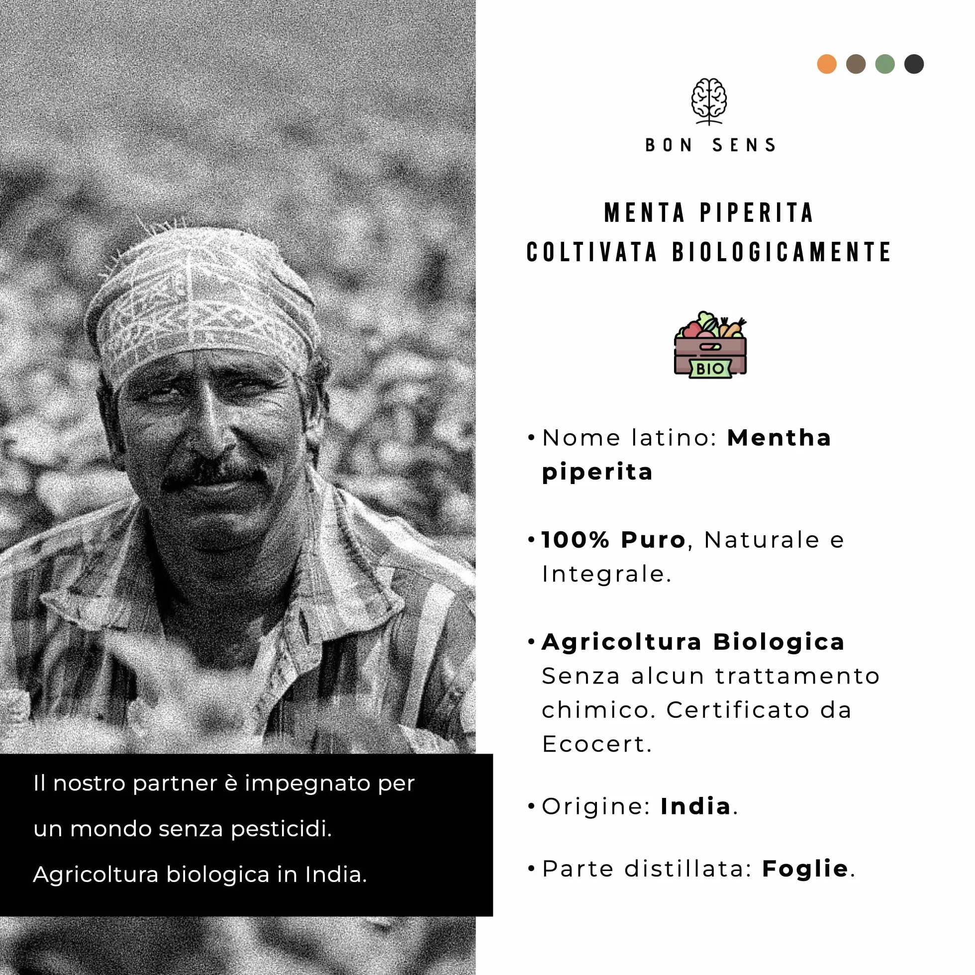 Olio Essenziale di Menta Piperita BIO 50ml - Puro, Naturale e Biologico