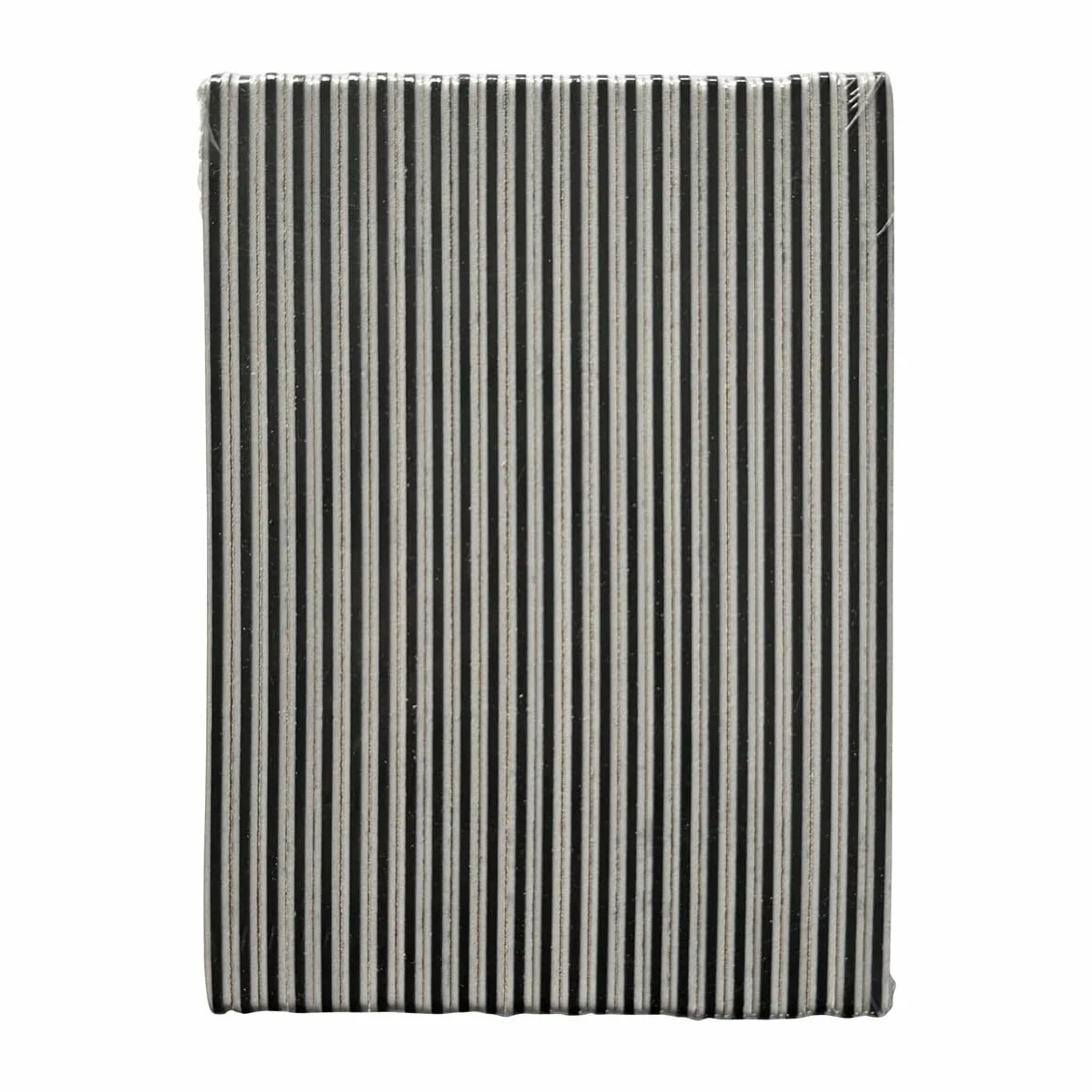 STALEKS EXPERT NFE-40 Pilnik do Paznokci 100/180, Dwustronny, 25 szt.