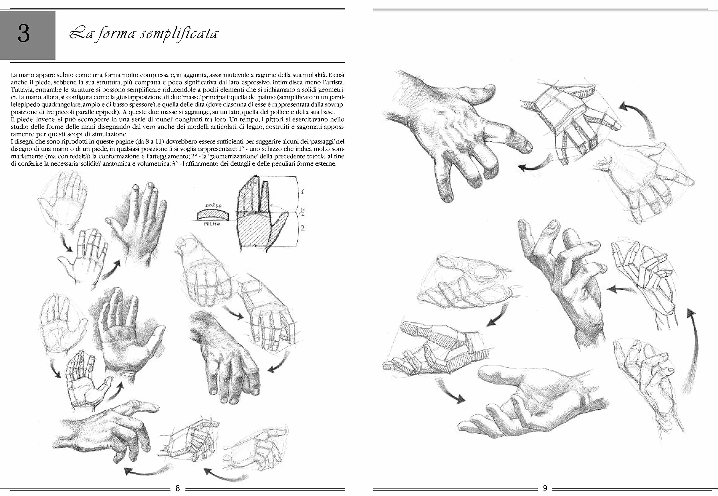 La mano e il piede