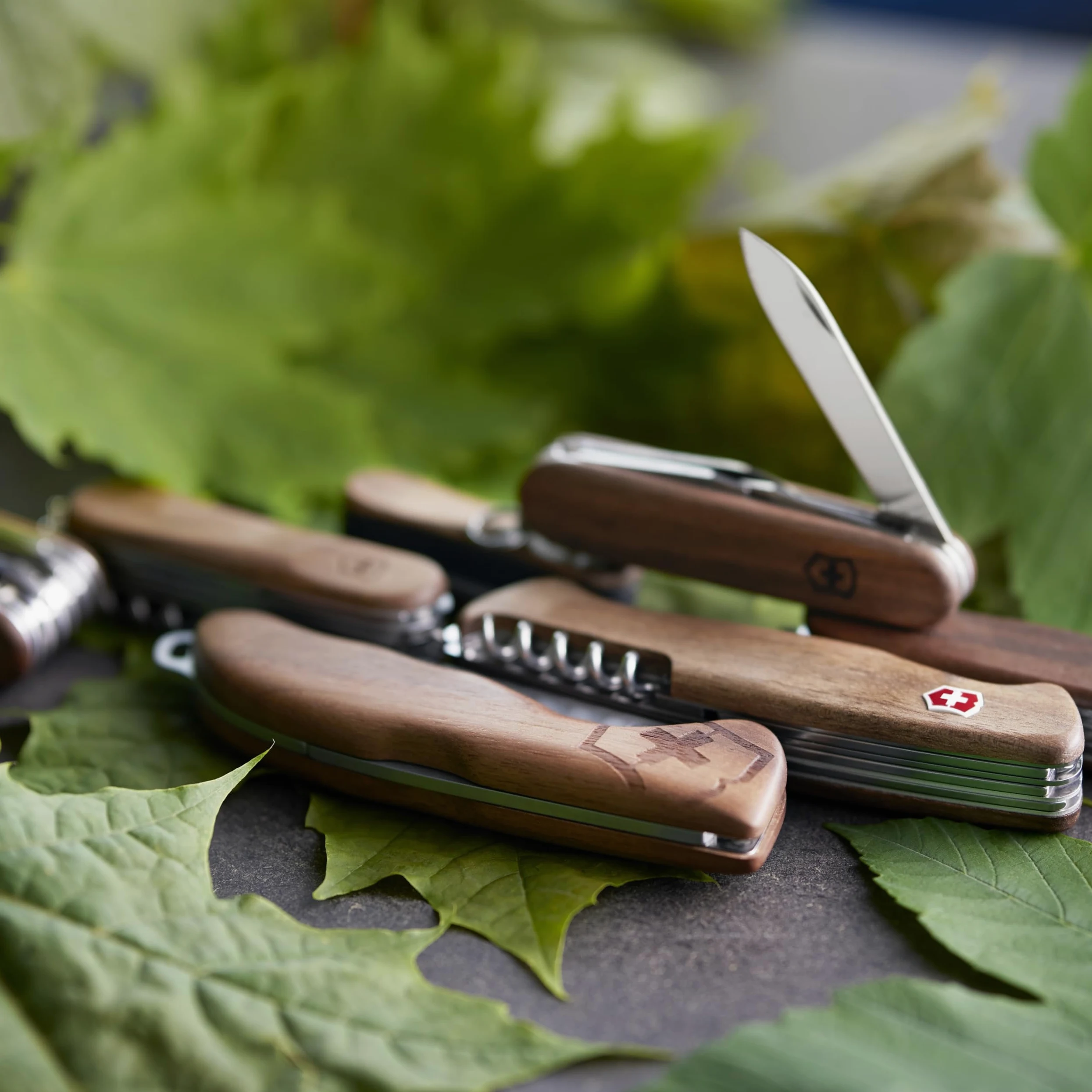 Victorinox, Nail Clip 580 Wood, Coltellino Svizzero, Originale, Multiuso, Campeggio, 6 Funzioni, Lama, piccola, Lima per unghie
