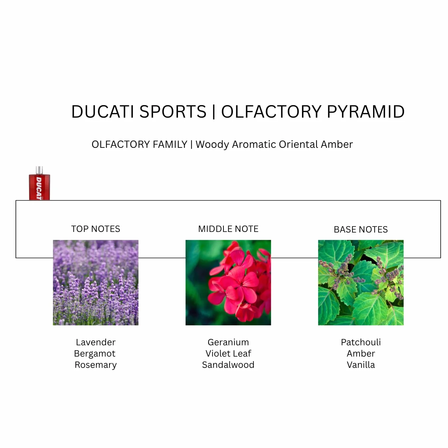 DUCATI SPORT | Set Regalo, Profumo Uomo da 100ml + Beauty Case