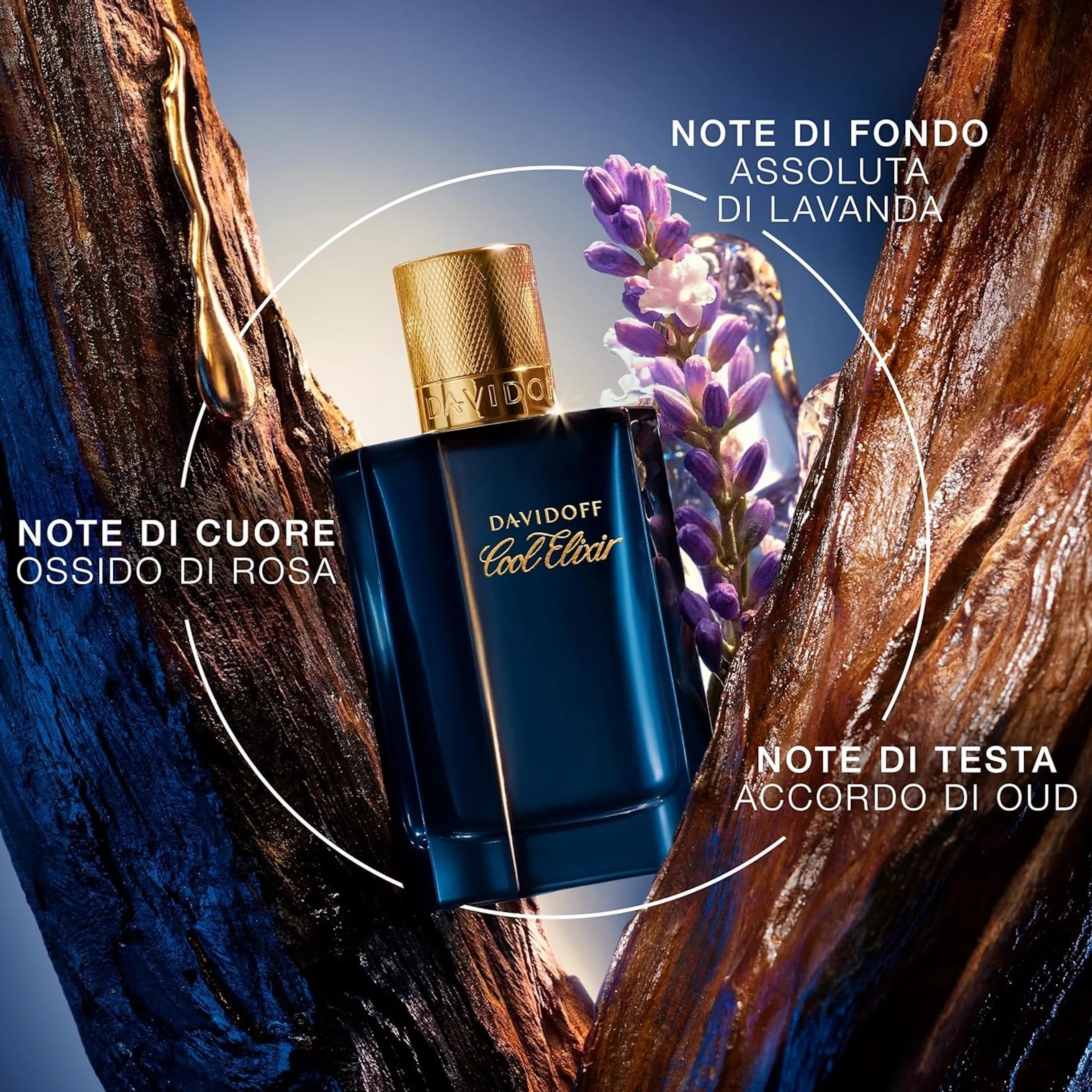 Davidoff Cool Elixir Legnoso Profumo da uomo Ossido di Rosa Lavanda Oud