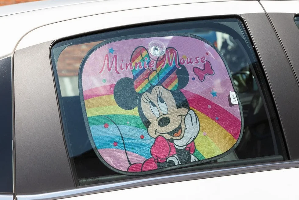 Parasole Laterali Auto per Bambini Minnie Coppia Set da 2 Protezione UV Riduzione Calore