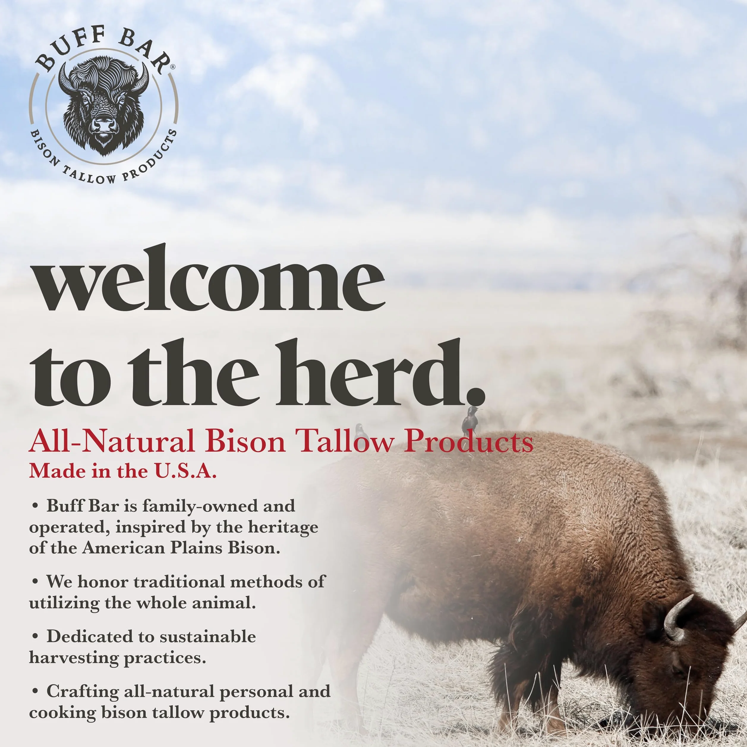 Big Crazy Buffalo - Unguento al sebo di bisone puro, senza profumo, 1 confezione, senza ingredienti irritanti, semplice e pulito, burro per il corpo