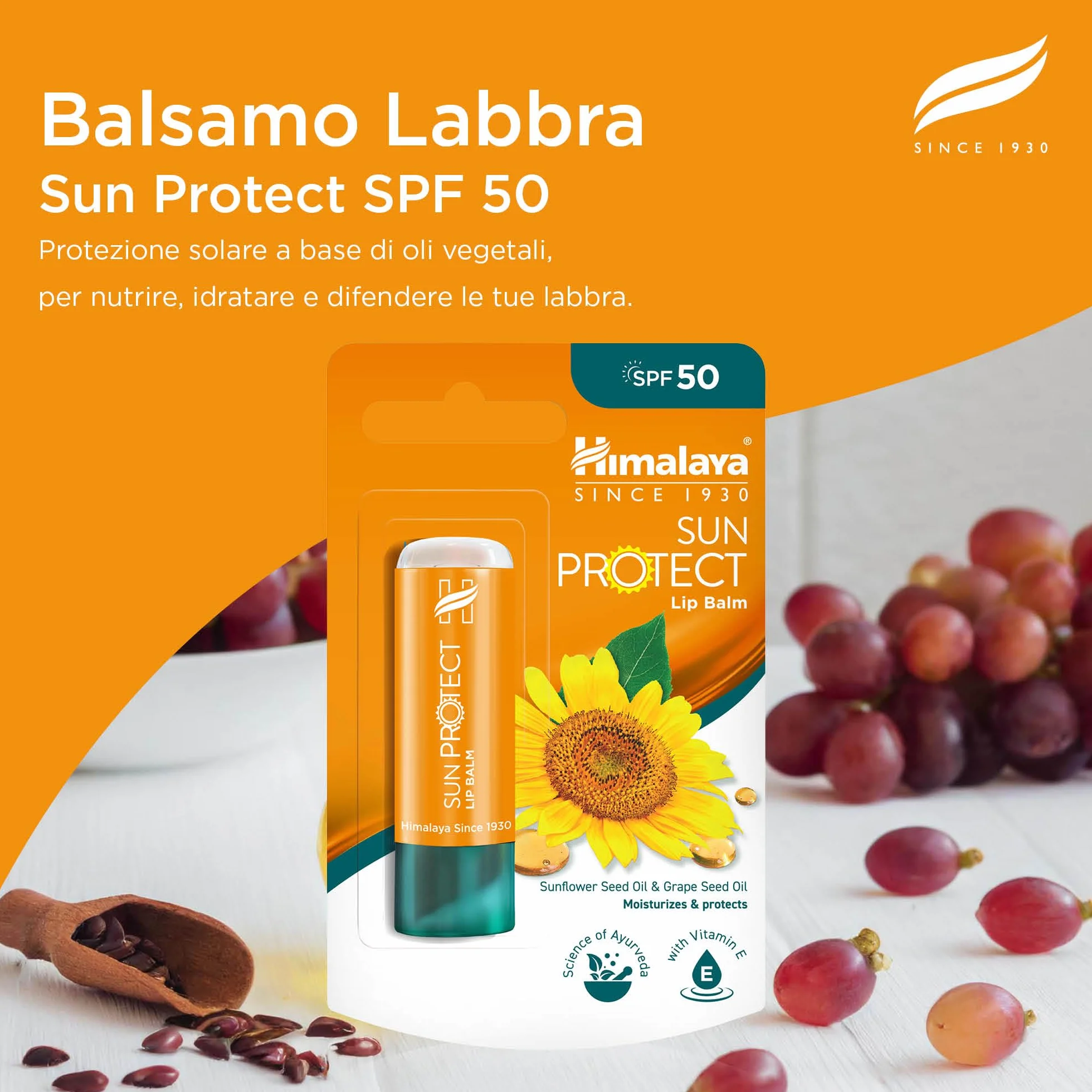 Himalaya Sun Protect Balsamo per Labbra SPF 50 Protezione UVA 4.5g