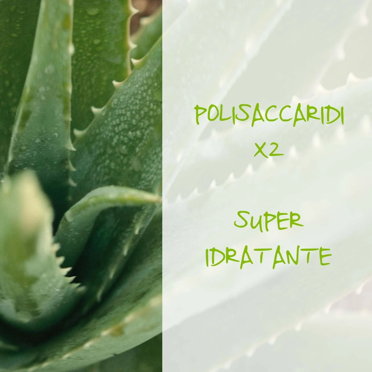 Omia, Doposole Latte Lenitivo con Aloe Vera del Salento, Azione Idratante e Nutriente, Effetto Riparatore, con Olio di Argan, Macadamia e Burro di Karité, Dermatologicamente Testato, Flacone da 200 ml