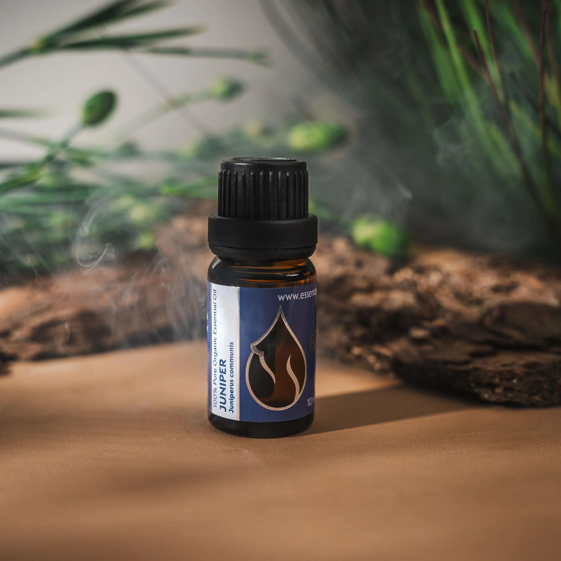 Olio Essenziale di Ginepro Biologico 10ml | Juniperus communis | 100% Puro | Grado Terapeutico | Distillato a Vapore