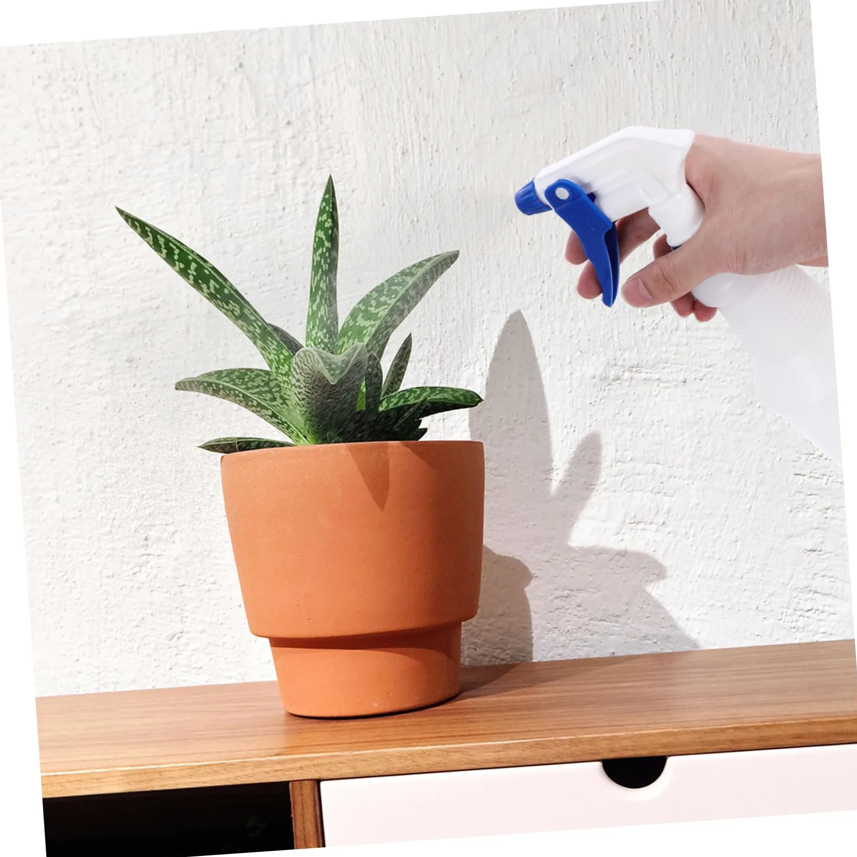 Baluue Bottigliette Spray in Plastica Pe 8 Pezzi da 750ml, Spray Ricaricabile per Parrucchieri, Facile da Usare e Risparmio di Lavoro, per Annaffiare Piante e Saloni di Colore Casuale