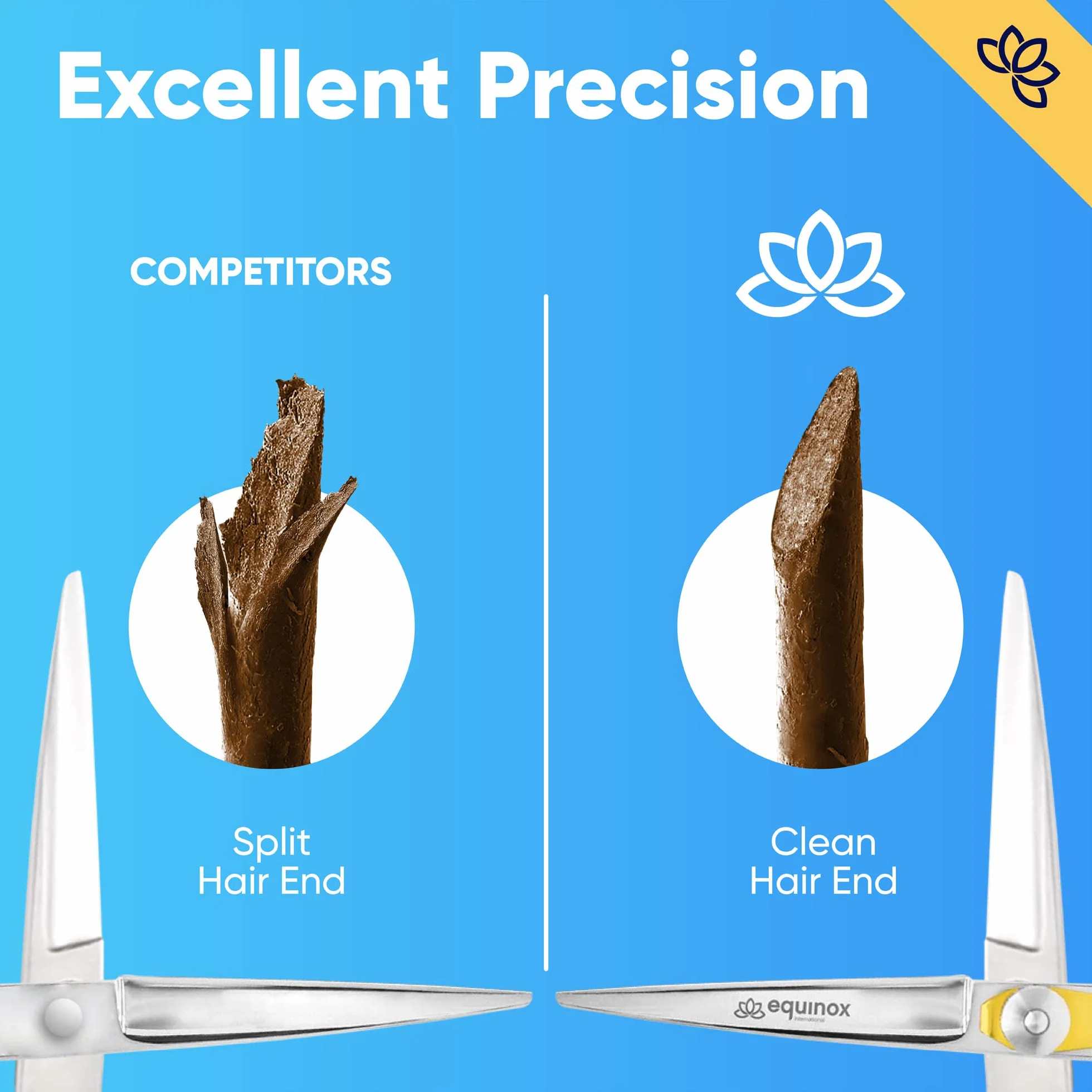 Equinox International Forbici da barbiere professionali – lunghezza complessiva di 16,5 cm con vite a tensione di regolazione di precisione – in acciaio inox giapponese