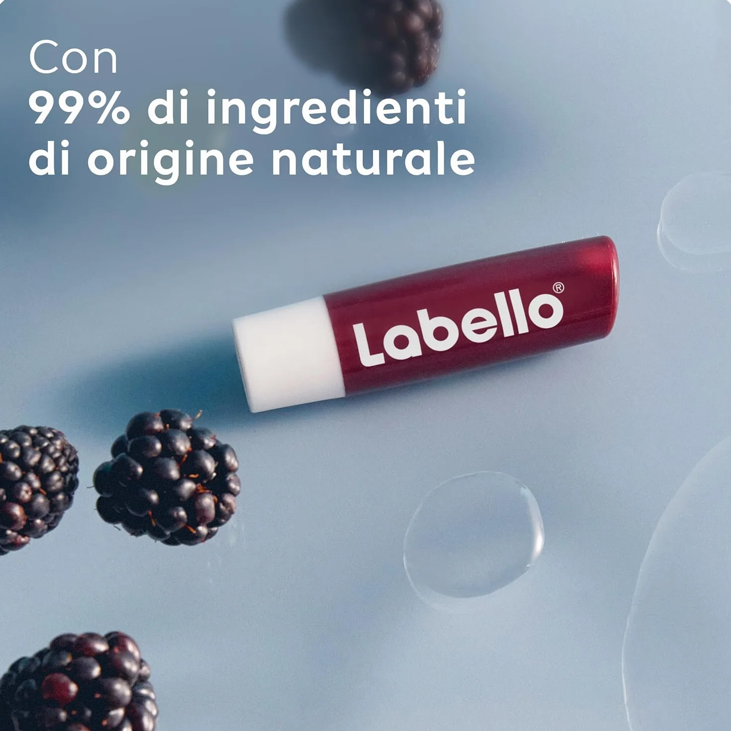 Labello Blackberry Shine Burrocacao Labbra 4.8 g Balsamo Colorato All'Aroma Di More Idratante 24H