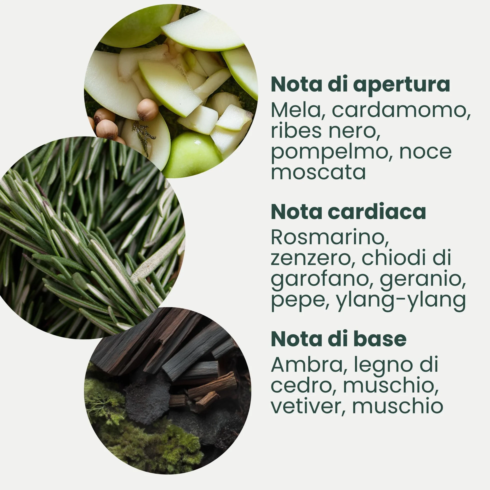 Jean & Len Balsamo Mani Rosmarino & Zenzero, con olio di argan bio, burro di karité e vitamina E per mani morbide, crema idratante per pelle secca, profumo fresco e aromatico, 250 ml