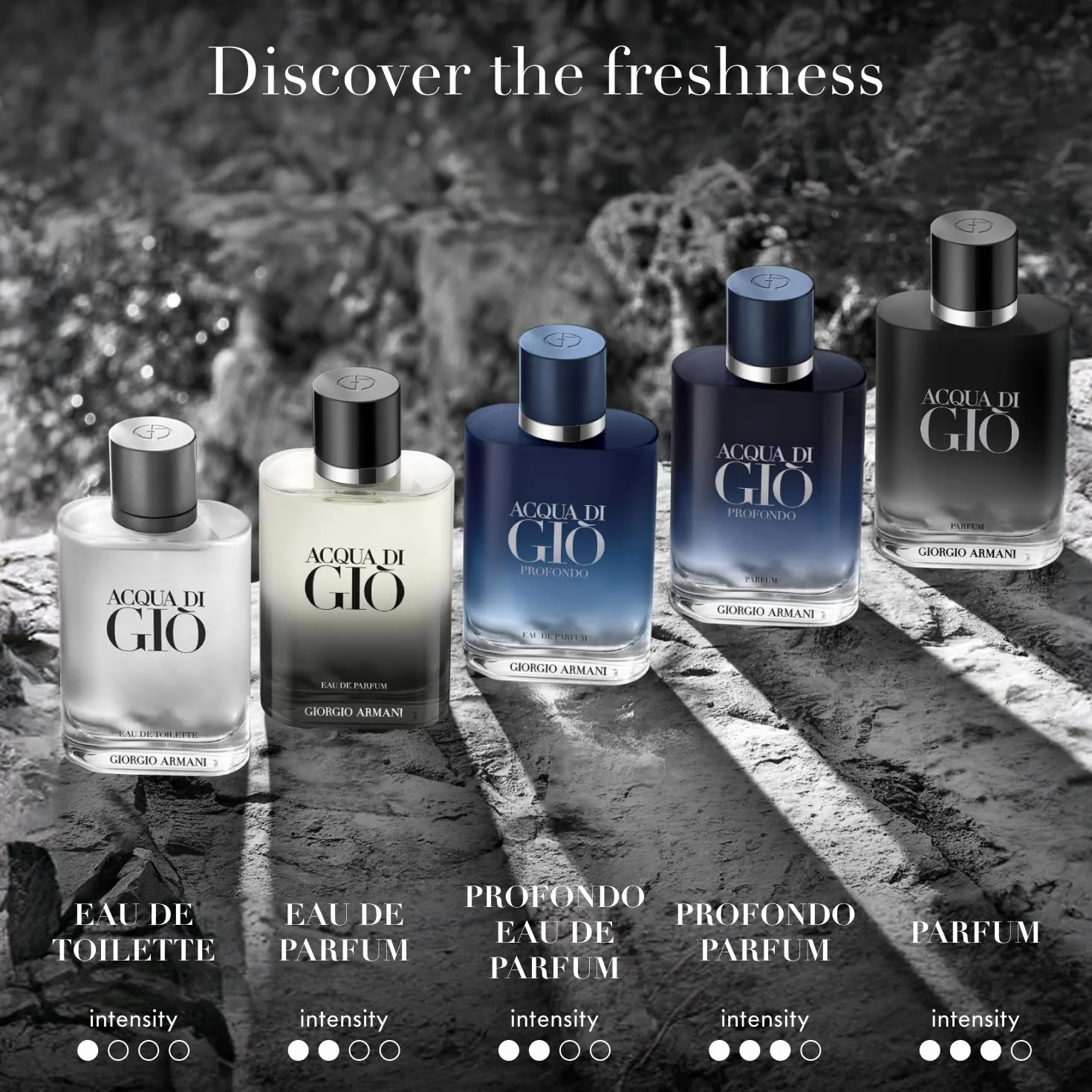 Giorgio Armani Acqua di Gio Homme Eau de Toilette 100 ml
