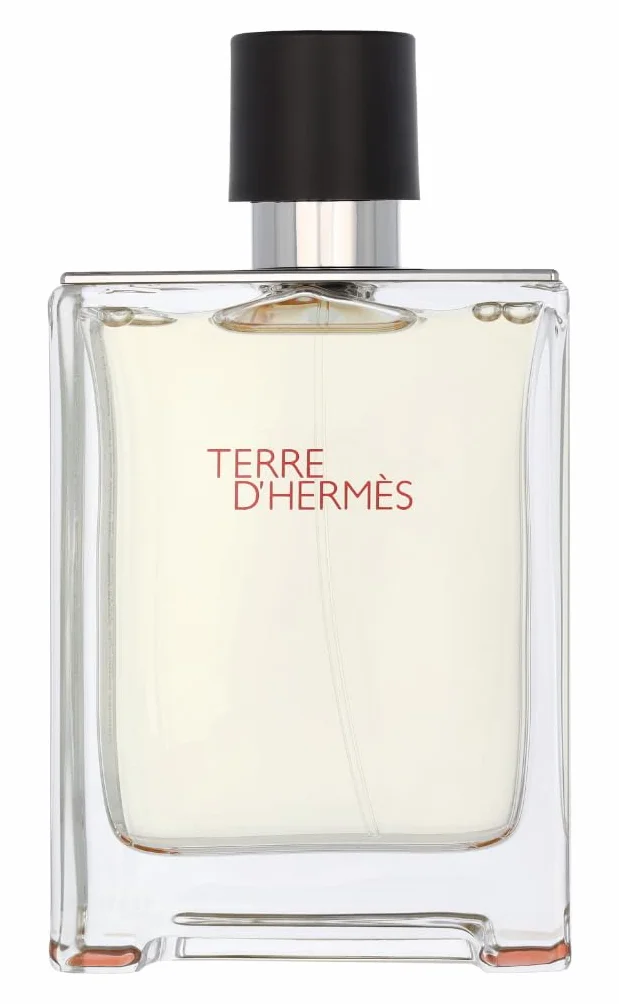 Hermès Terre d'Hermès Eau de Toilette 100 ml