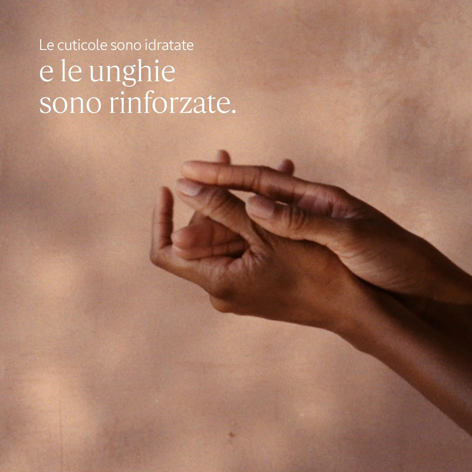 L'OCCITANE - Olio Unghie & Cuticole Karité - 7,5 ml - Rinforza e nutre - Prodotto in Francia