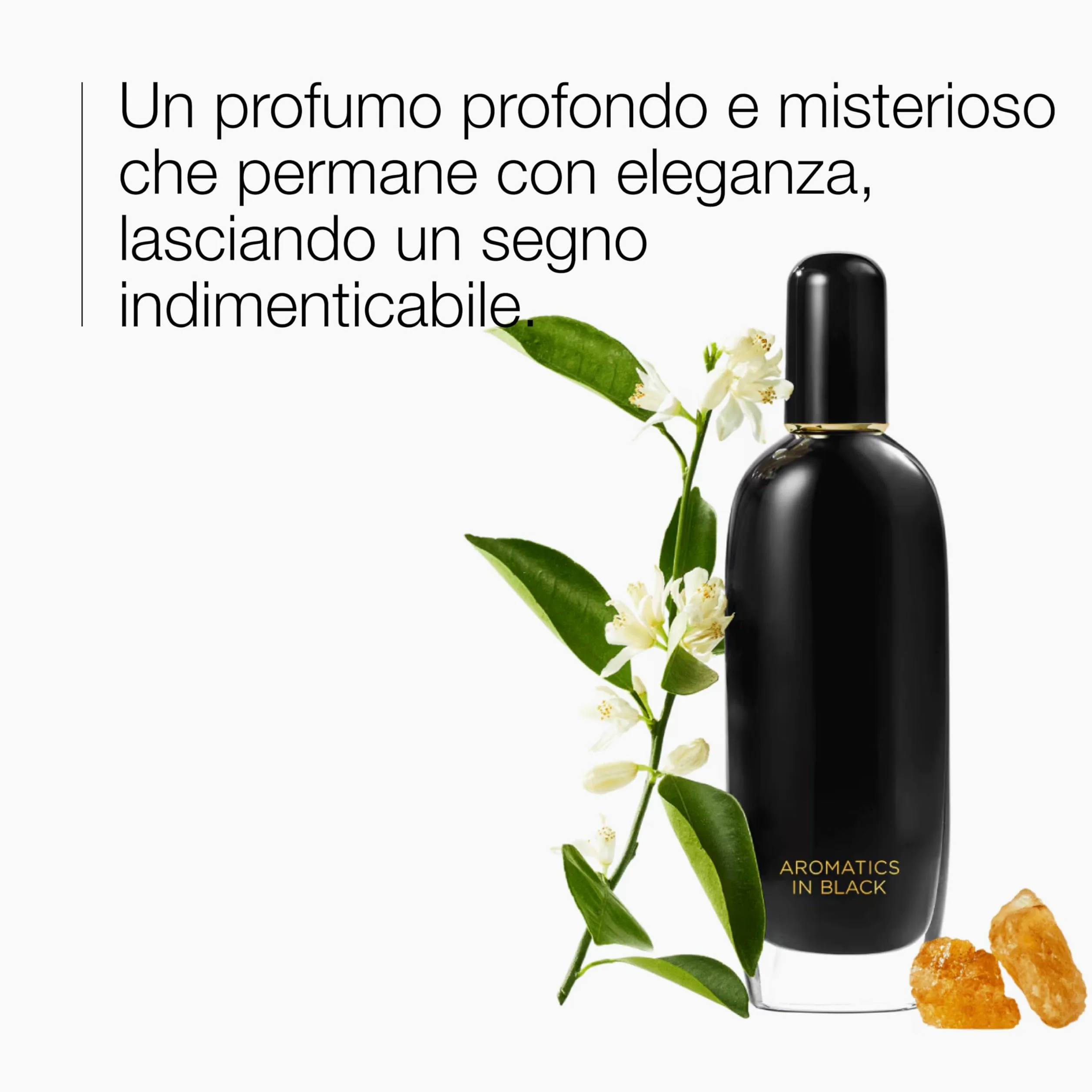 Clinique Aromatics In Black Eau De Parfum Spray | Il profumo iconico Clinique, 100 ml