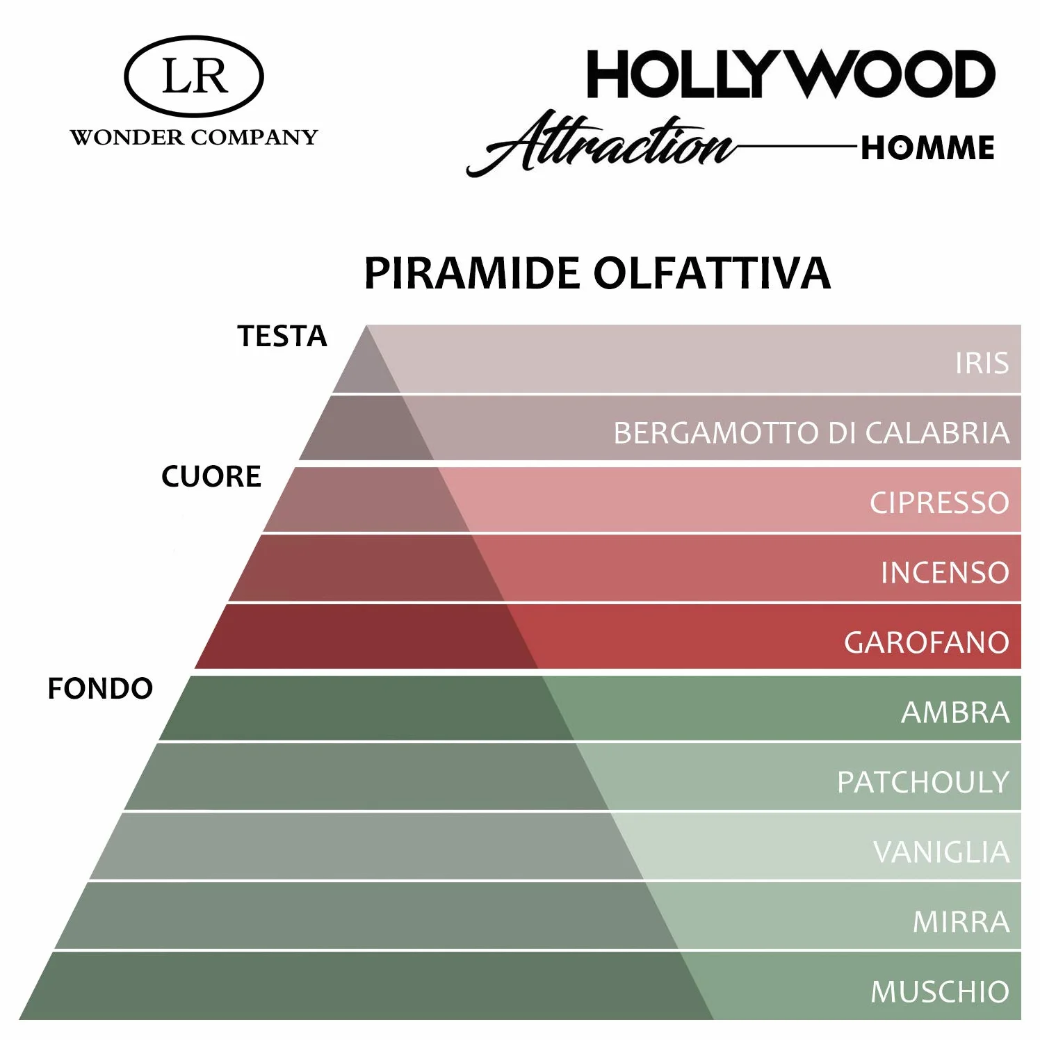 Hollywood Attraction Homme, profumo ai feromoni uomo, per attrarre e sedurre (1x75ml) - Wonder Company