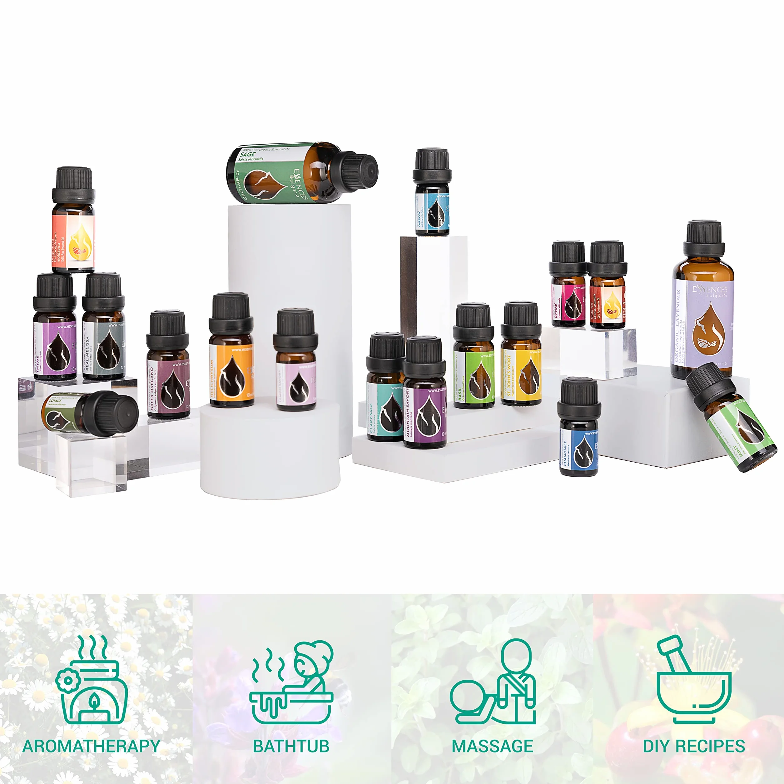 Olio Essenziale di Ginepro Biologico 10ml | Juniperus communis | 100% Puro | Grado Terapeutico | Distillato a Vapore