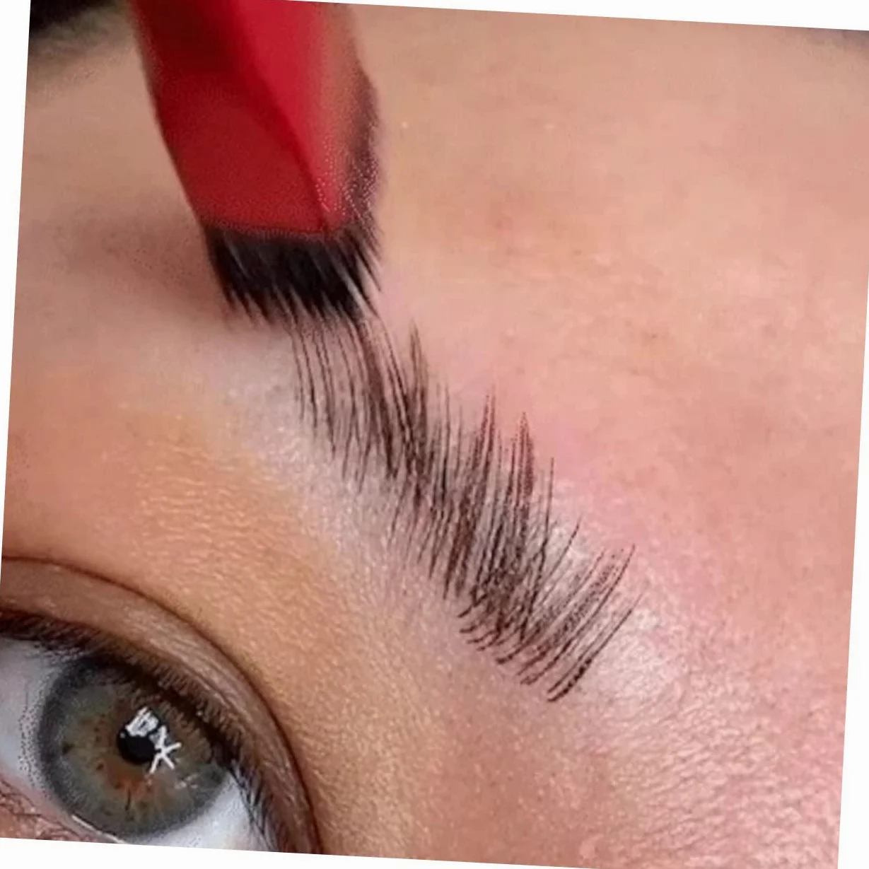 4 Set Di Pennelli Per Sopracciglia Angolati Per Trucco Da Donna Strumento Per Modellare E Riempire Le Sopracciglia 2 Pezzi * 4