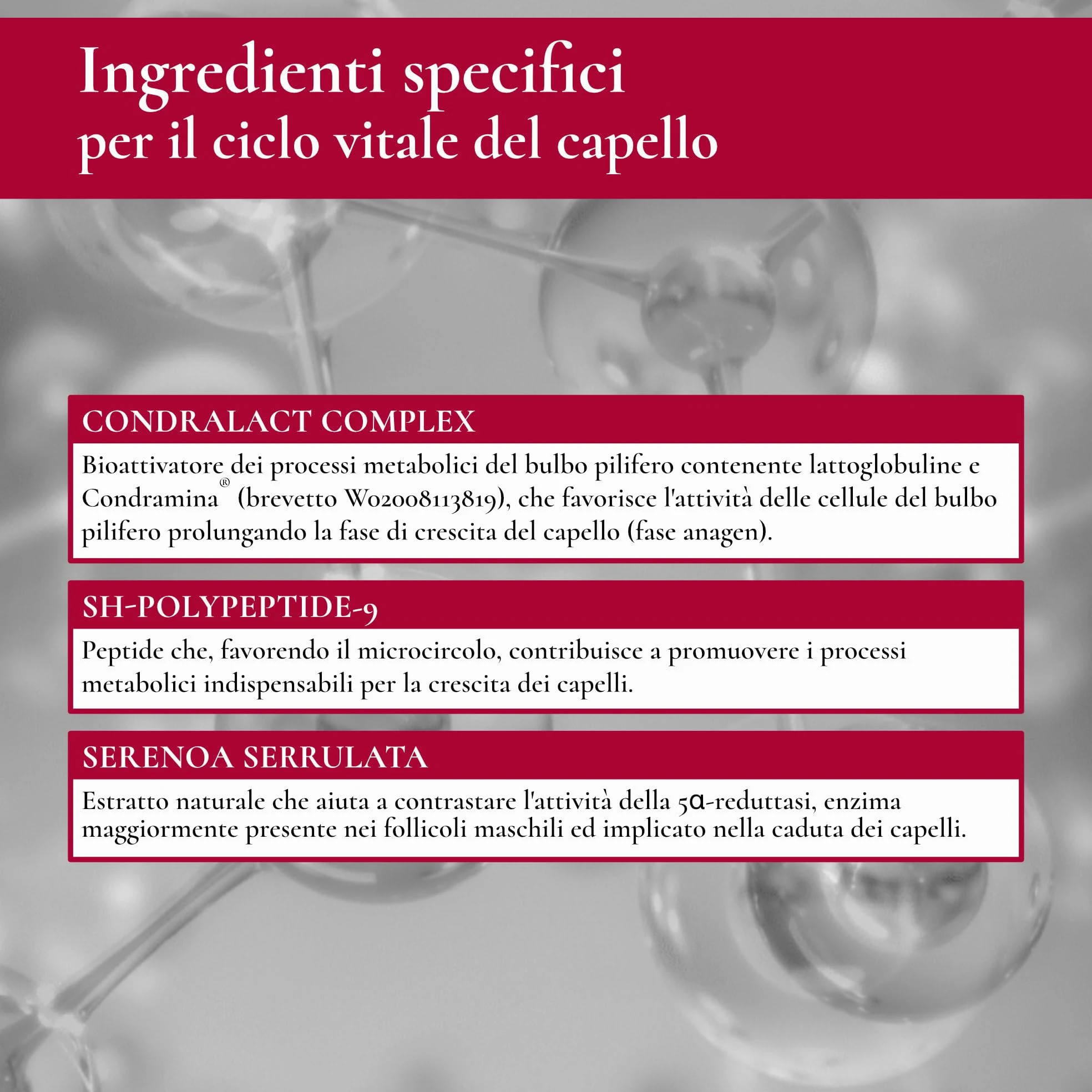 Biothymus Active Uomo, 20 Fiale Anticaduta Capelli Uomo, Trattamento Attivo con Formula Intensiva ad Azione Prolungata, 2 Mesi di Trattamento