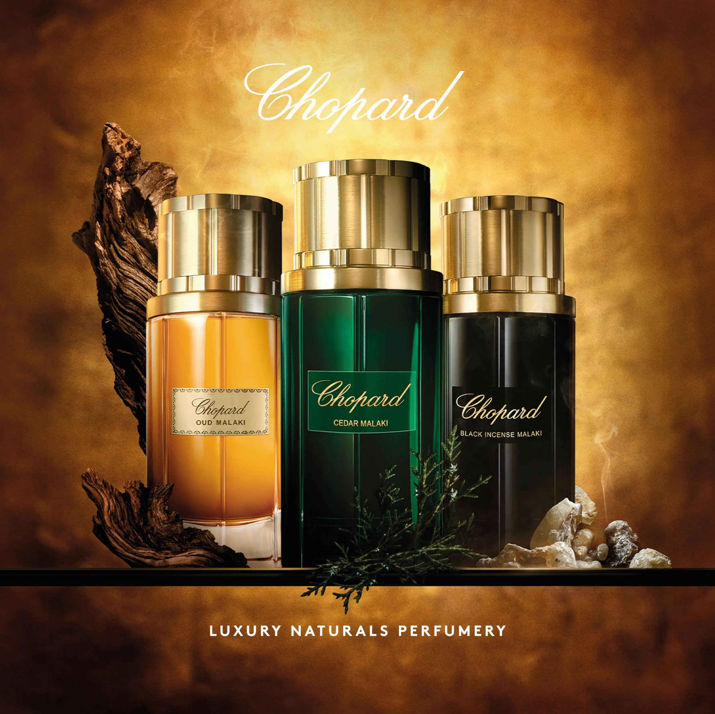 Chopard Oud Malaki 80 ml, Eau de Parfum da Uomo | Fragranza Legnosa Ambrata, Note Sensuali di Legno di Oud, Lavanda, Tabacco e Spezie, Flacone in Vetro Trasparente