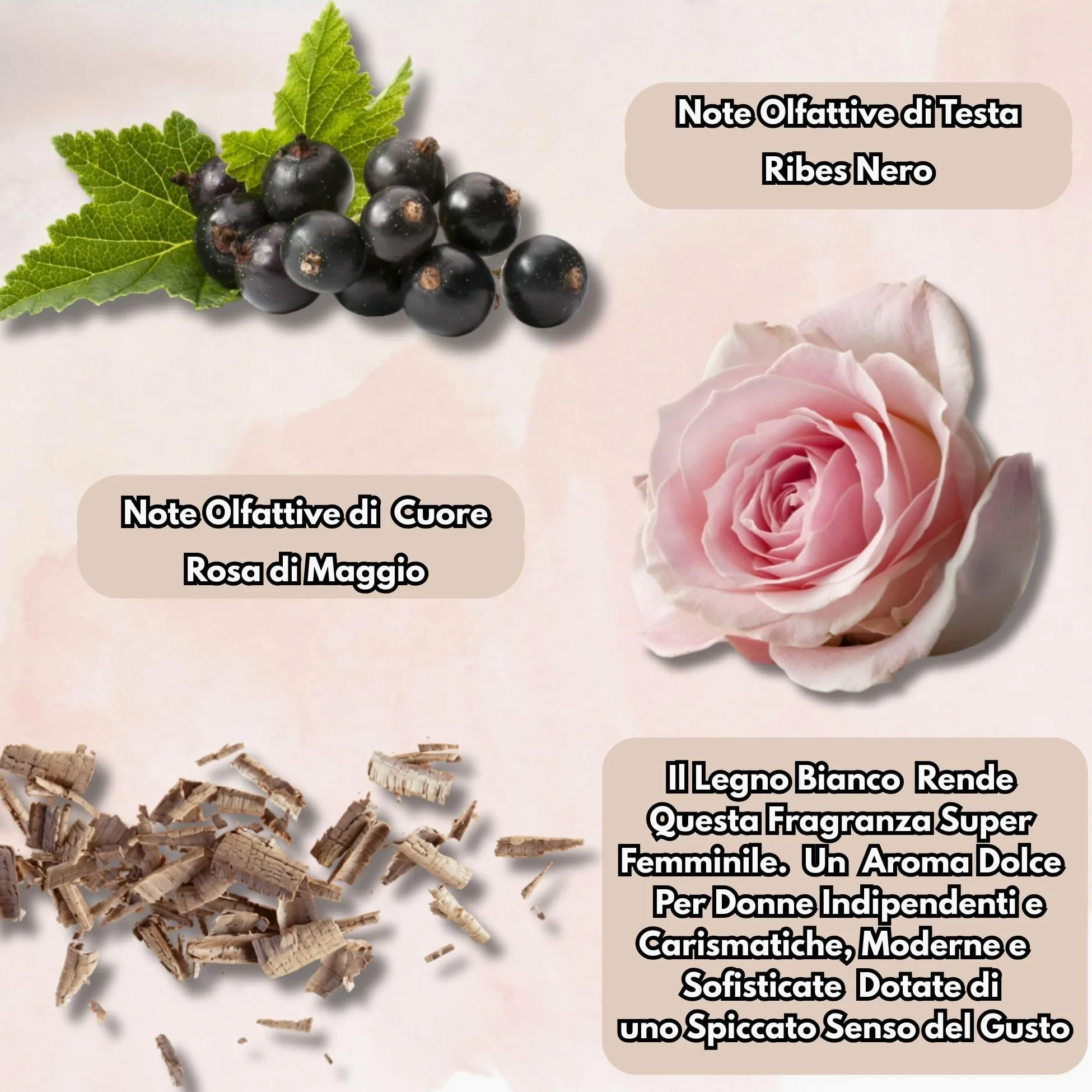 Yo.dey.ma Adriana Profumo Donna Offerta Eau de Parfum 100 ml con Note di Ribes Nero e Rose - Idee Regalo Donna incluso MakoRex Spruzzino Nebulizzatore Portaprofumo da Viaggio Ricaricabile da 5 ml Rosa