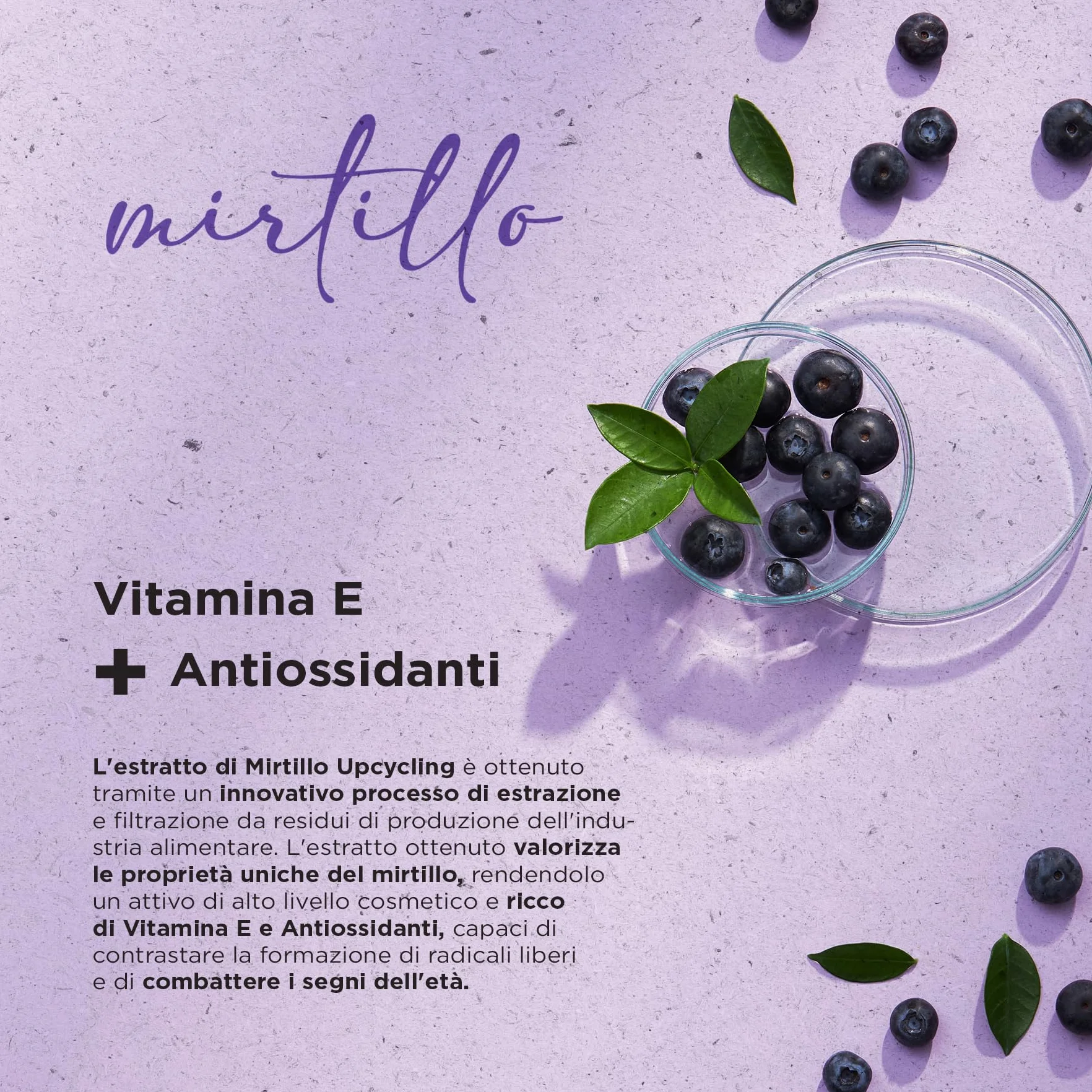 Naturaverde | Upcycling Burro Struccante, con Mirtillo, 90 ml