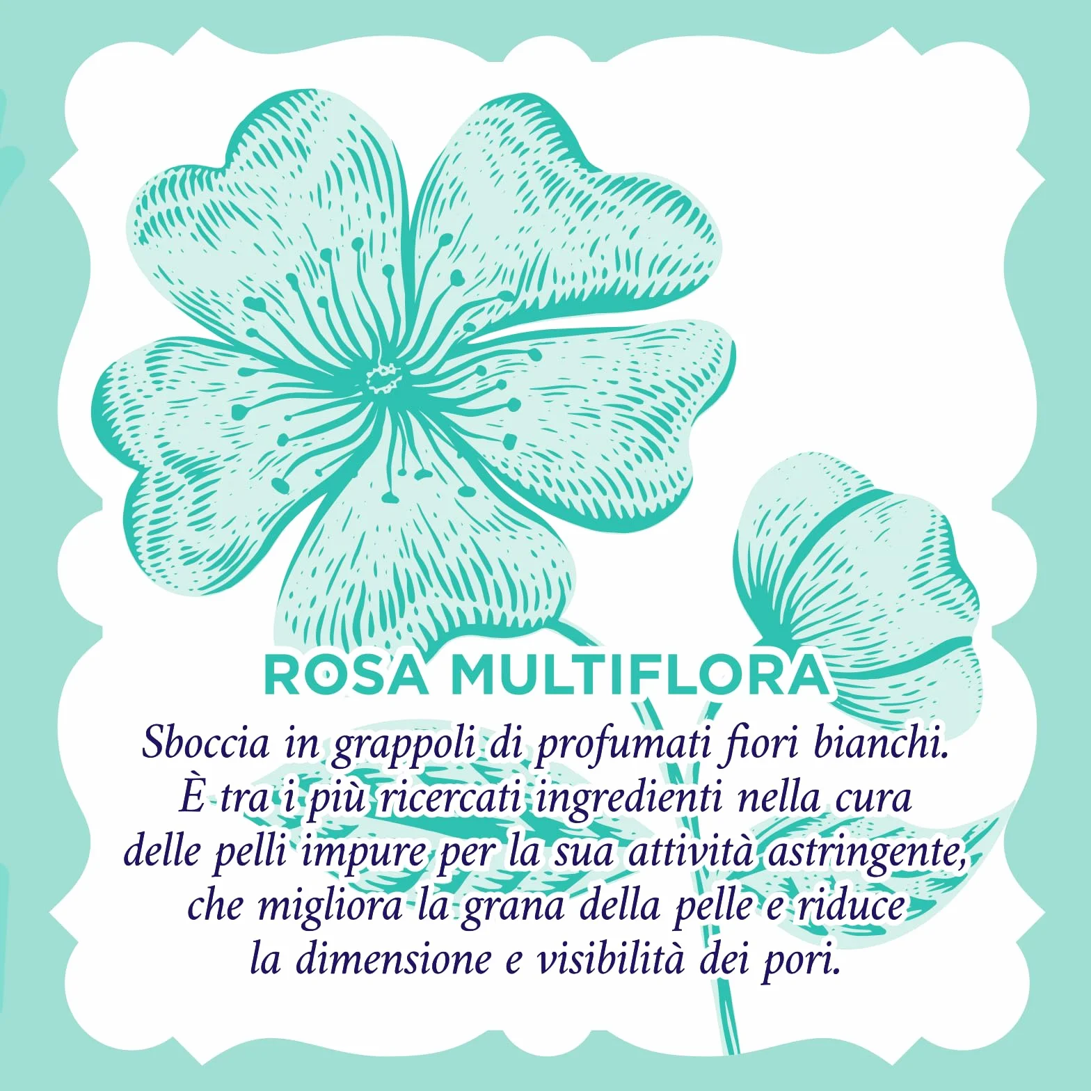 Acqua alle Rose, Gel Esfoliante Purificante per Uso Quotidiano, Scrub Viso Delicato, Detergente per Pelli Normali, Miste o Grasse, 150 ml