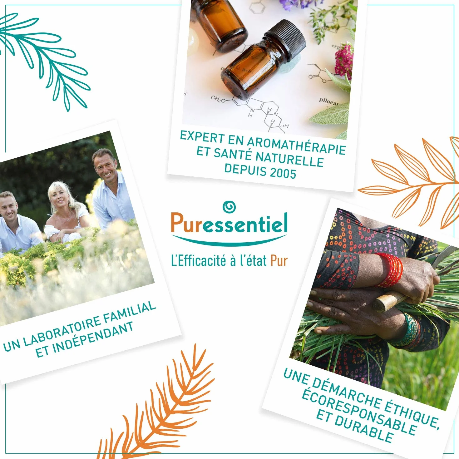 Puressentiel Olio Essenziale di Lavanda Vera 100% Puro Naturale OEBBD Biologico 10 ml