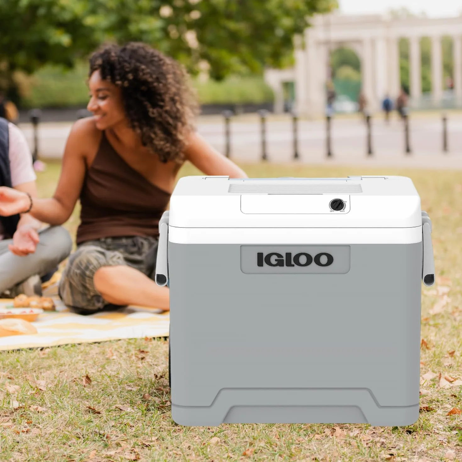 IGLOO IE42 Frigo Elettrico 12V 230V 42L Mini Frigorifero Compatto per Auto Campeggio