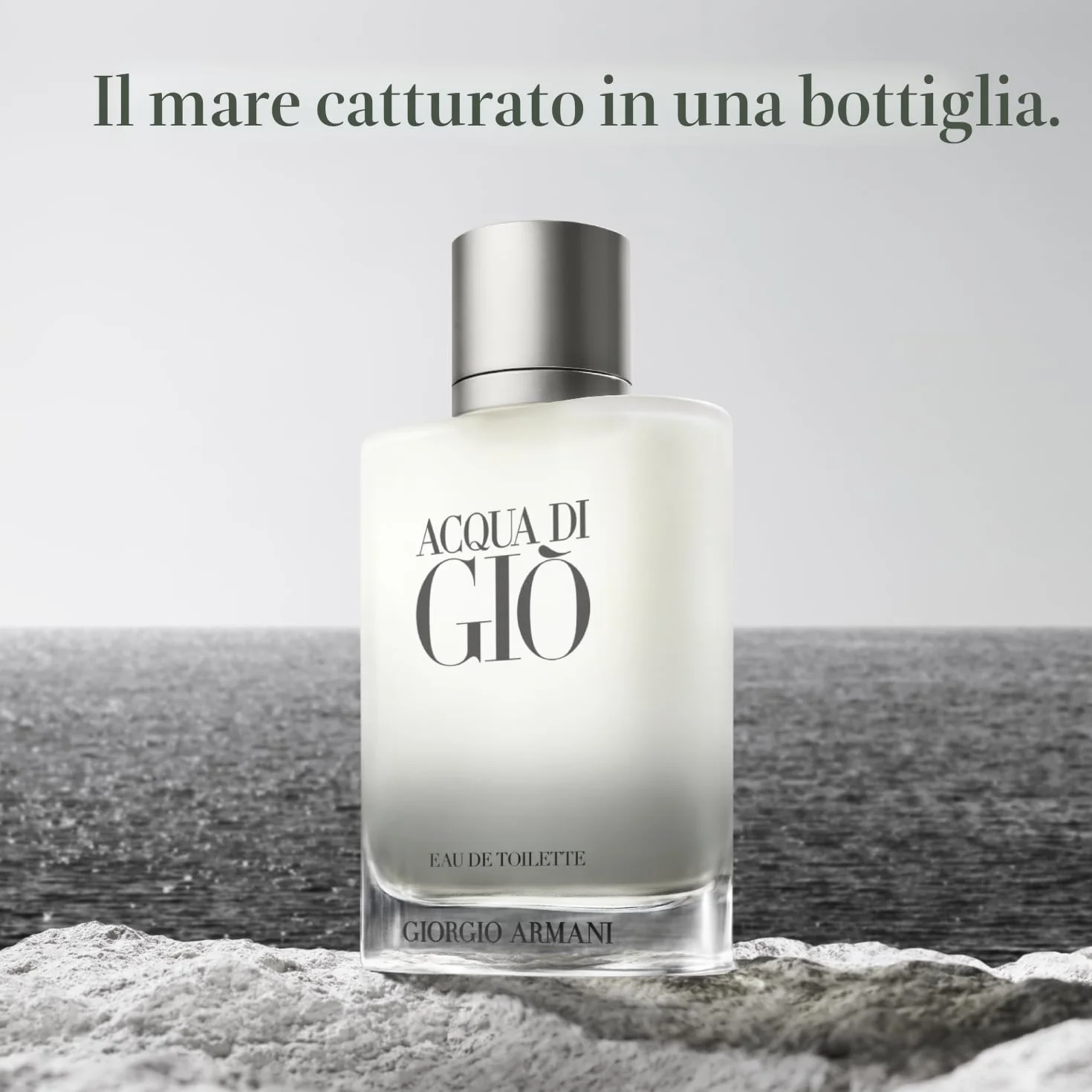 Giorgio Armani Acqua di Gio Homme Eau de Toilette 100 ml