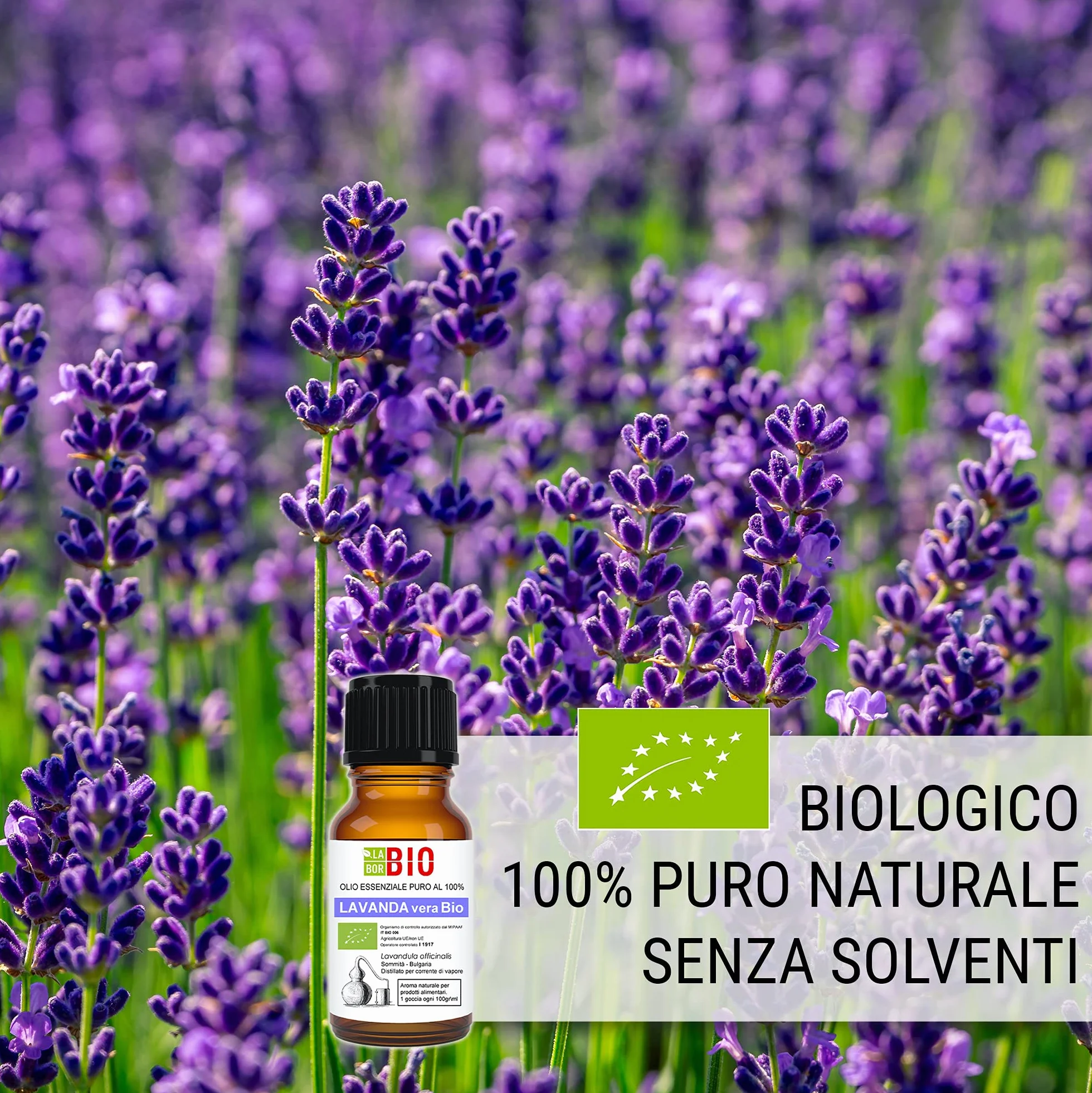 Lavanda vera Officinalis Bio Olio essenziale 100% Puro 10 ml - Laborbio